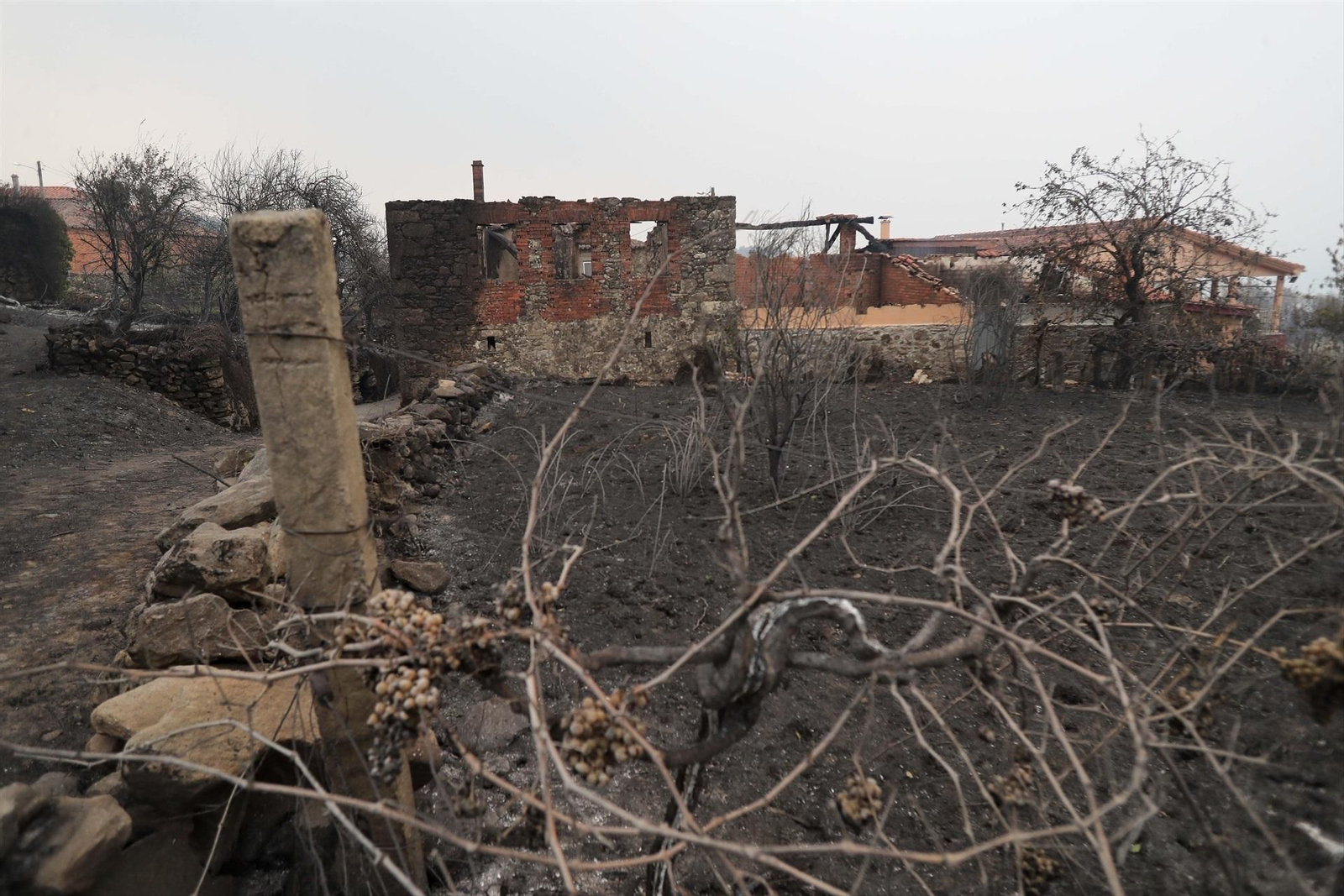 Una casa calcinada en un icendio forestal en Pantón (Lugo), el pasado agosto de 2025.