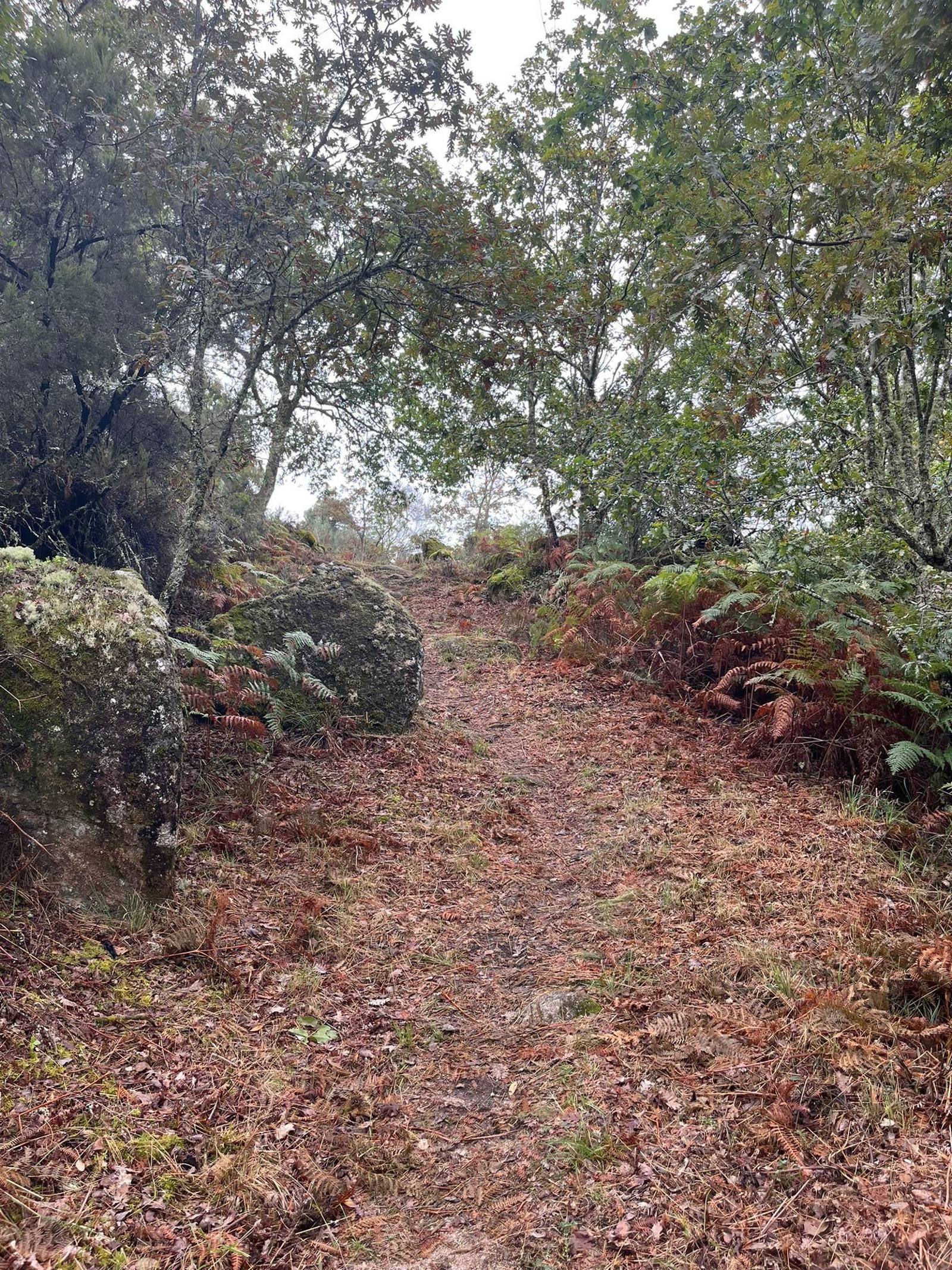 Un ruta hasta el Pozo da Seima, en Lobios
