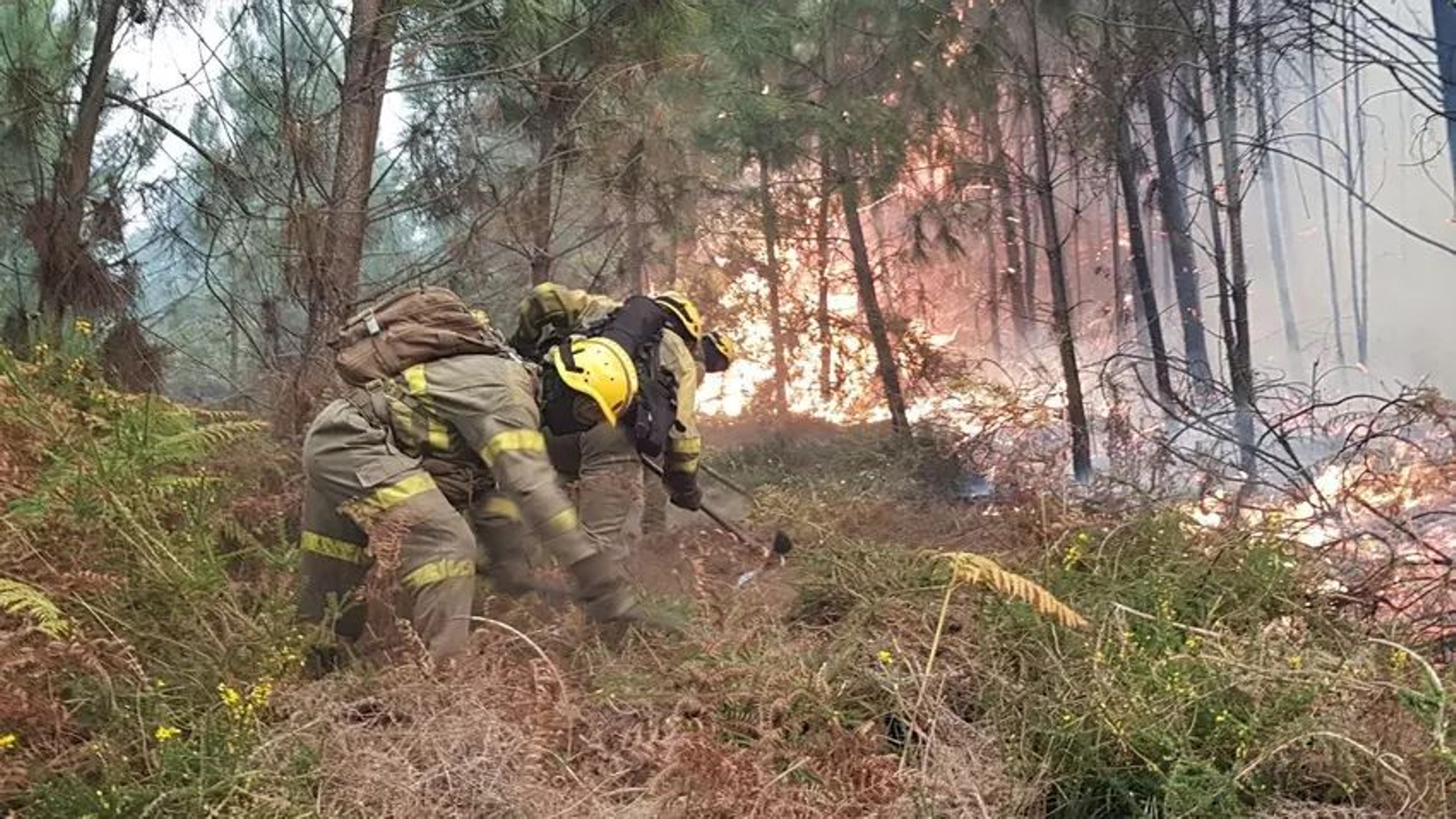 Imagen de los incendios entre Reboreda y San Martiño (Redondela) en el año 2017.