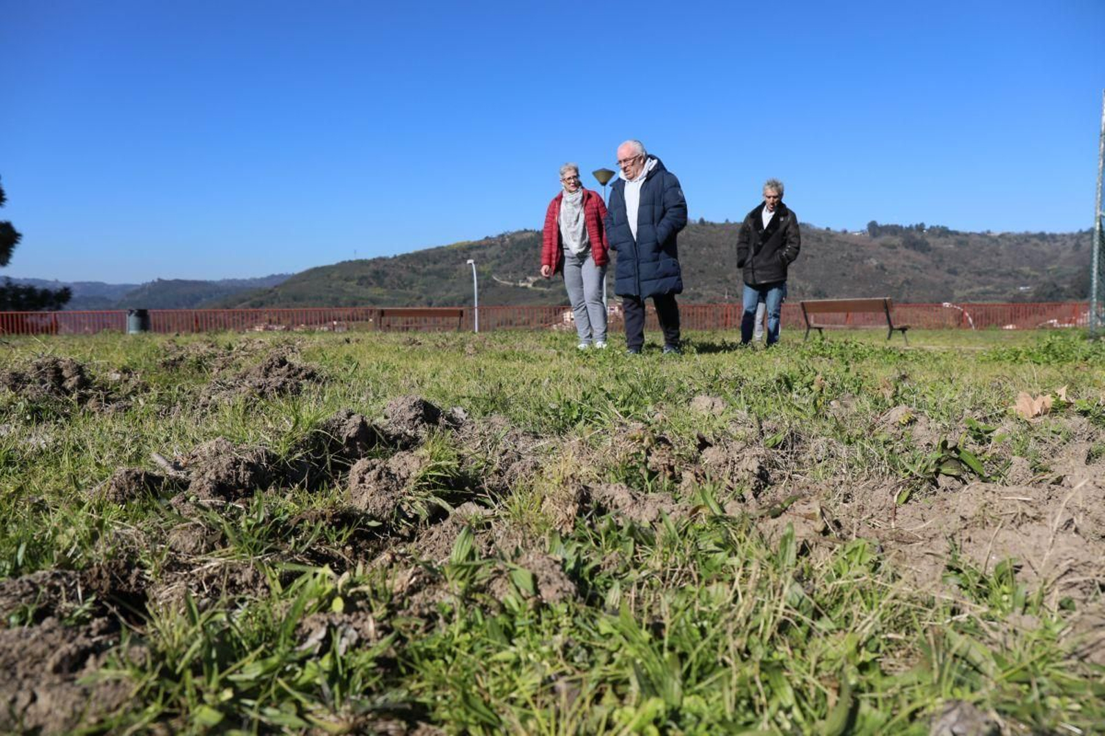 Terrenos afectados por el jabalí en Covadonga. JOSÉ PAZ