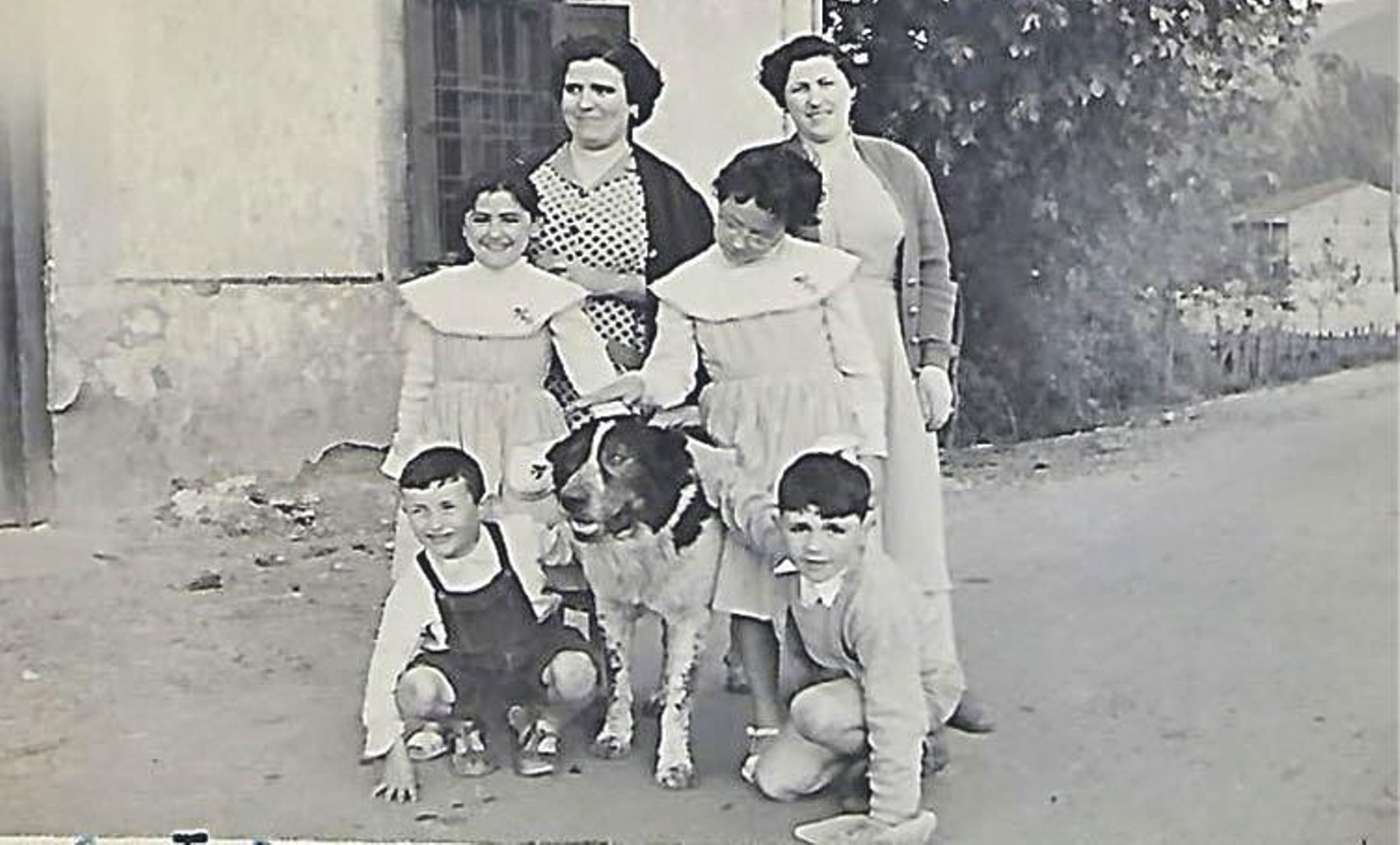 El famoso mastin de la historia.