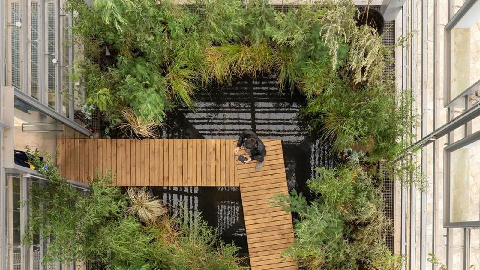 EXPOSICIÓN "PAISAXES INCULTAS. A METAMORFOSE DO MONTE GALEGO