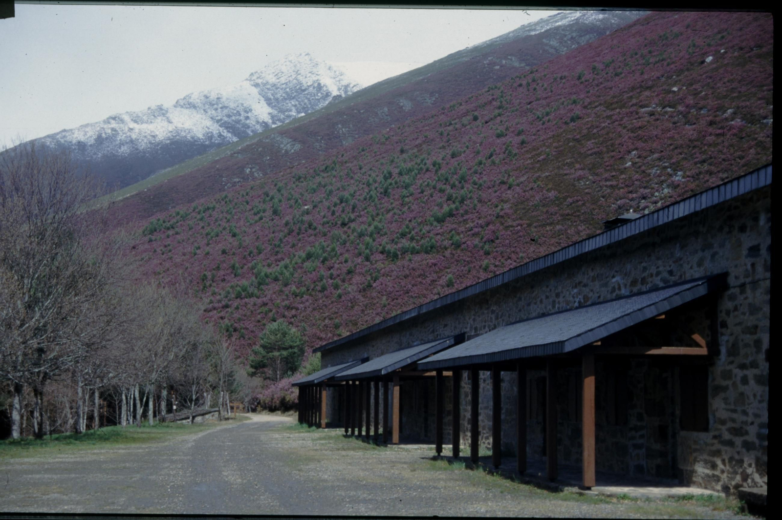 Aula da Natureza da Ribeira Grande