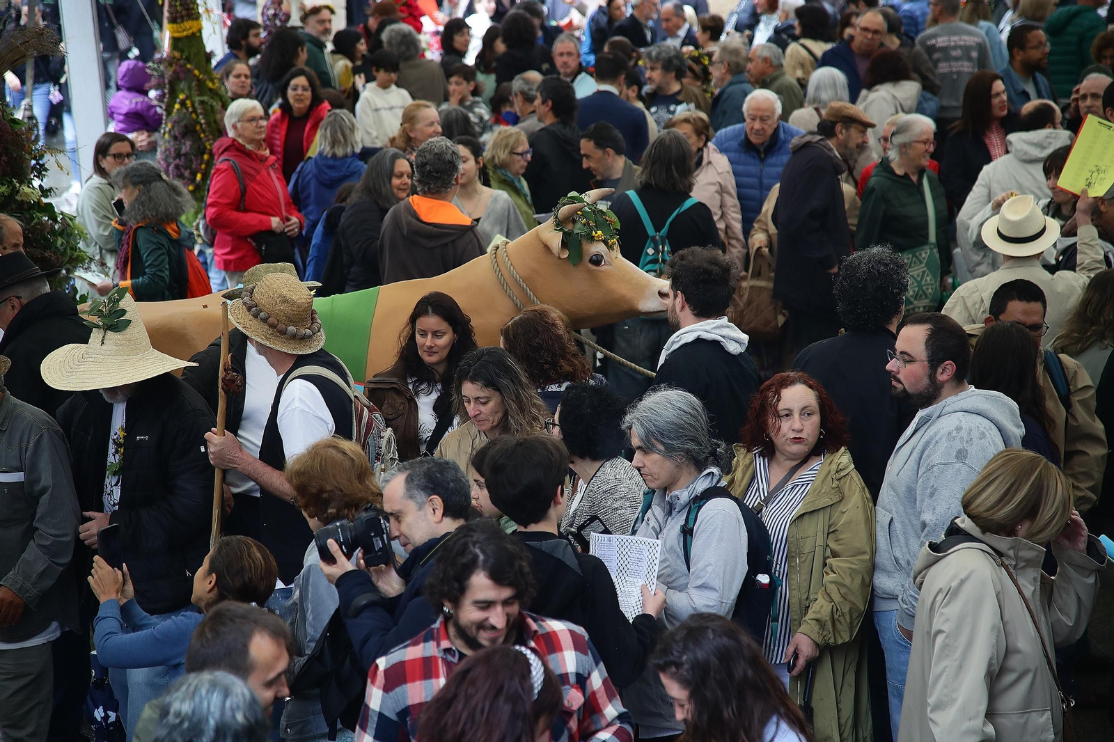 Galería | Estas son as coplas e os mellores maios de esta edición 2026 en Ourense, en fotos