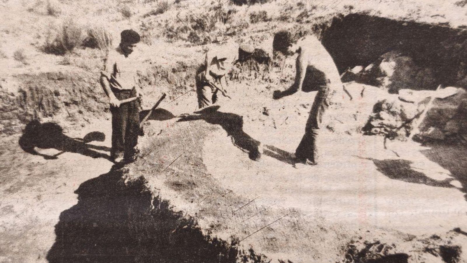 Importantes excavaciones en Castromao.