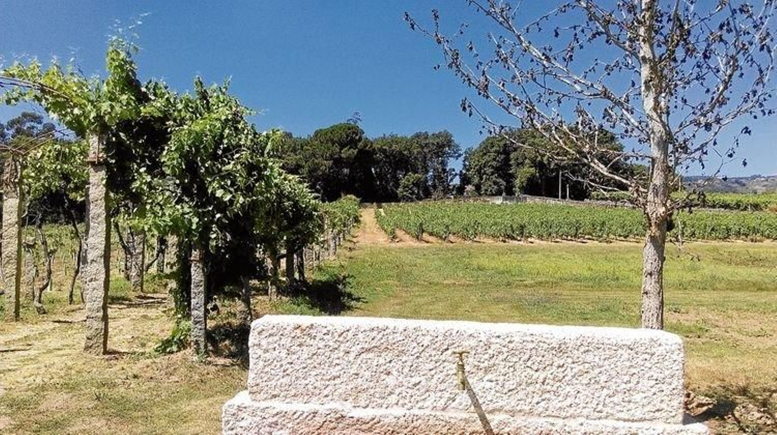 20161227223535307_result