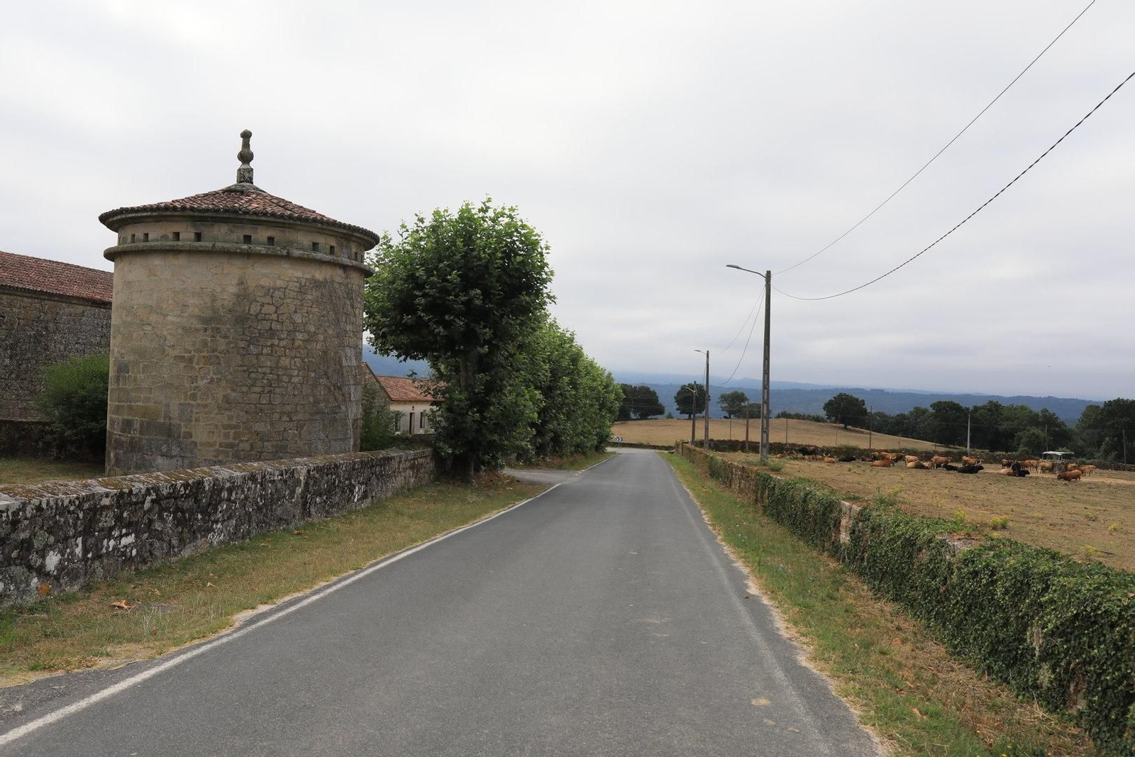 COLES 8/08/2024.- Tesoros por descubrir, Coles. Pazo de Fontefiz.  José Paz