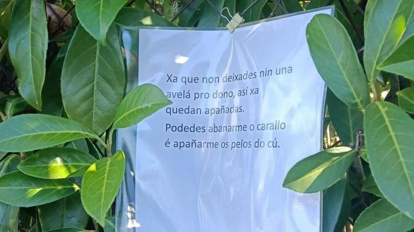 El cartel de un vecino de Amoeiro.
