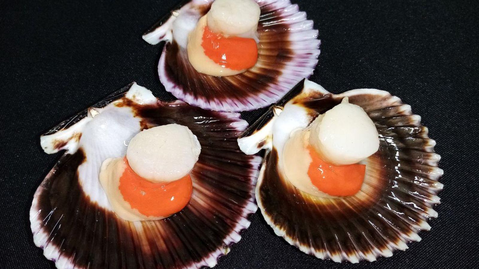 Vieira del Pacífico que cuelan a veces por volandeira y zamburiña.