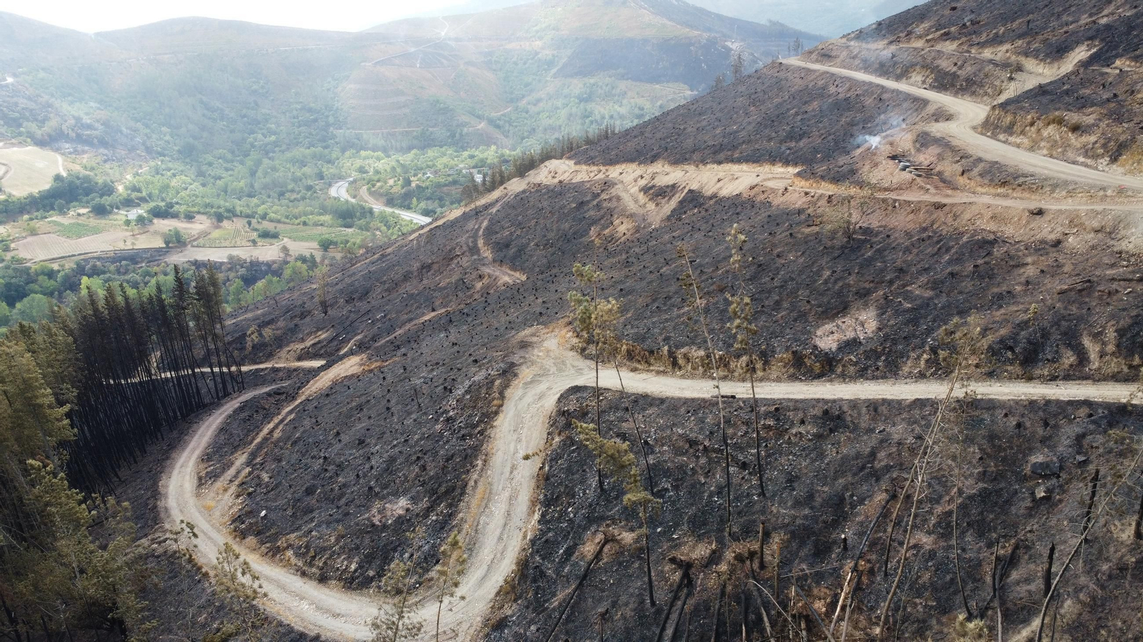 entre san pedro y freixeiro.JPG