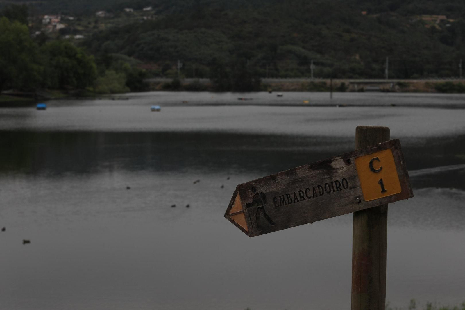 COLES 8/08/2024.- Tesoros por descubrir, Coles. Embarcadero de Rivela. José Paz