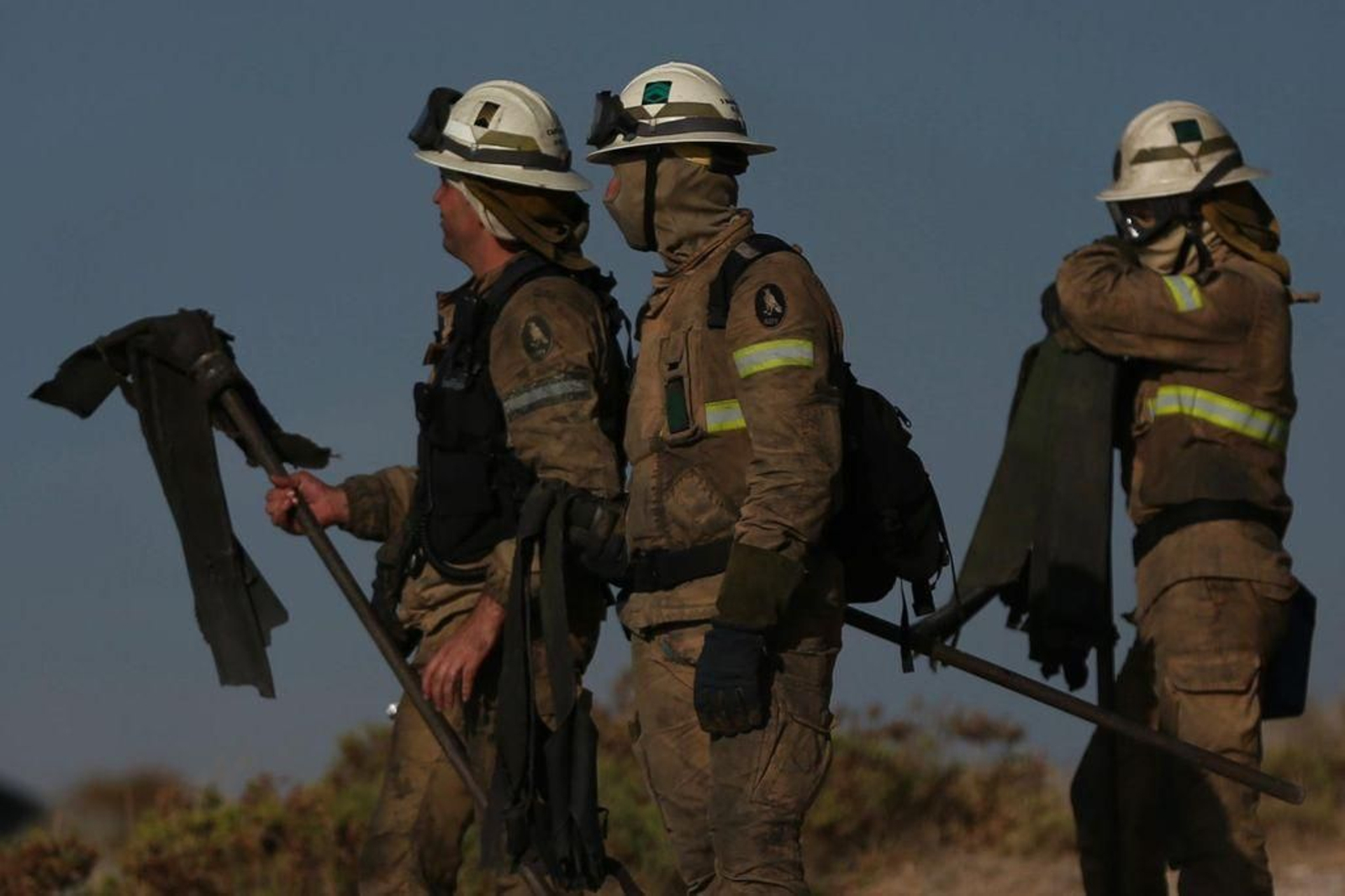 Incendios en Ourense 19