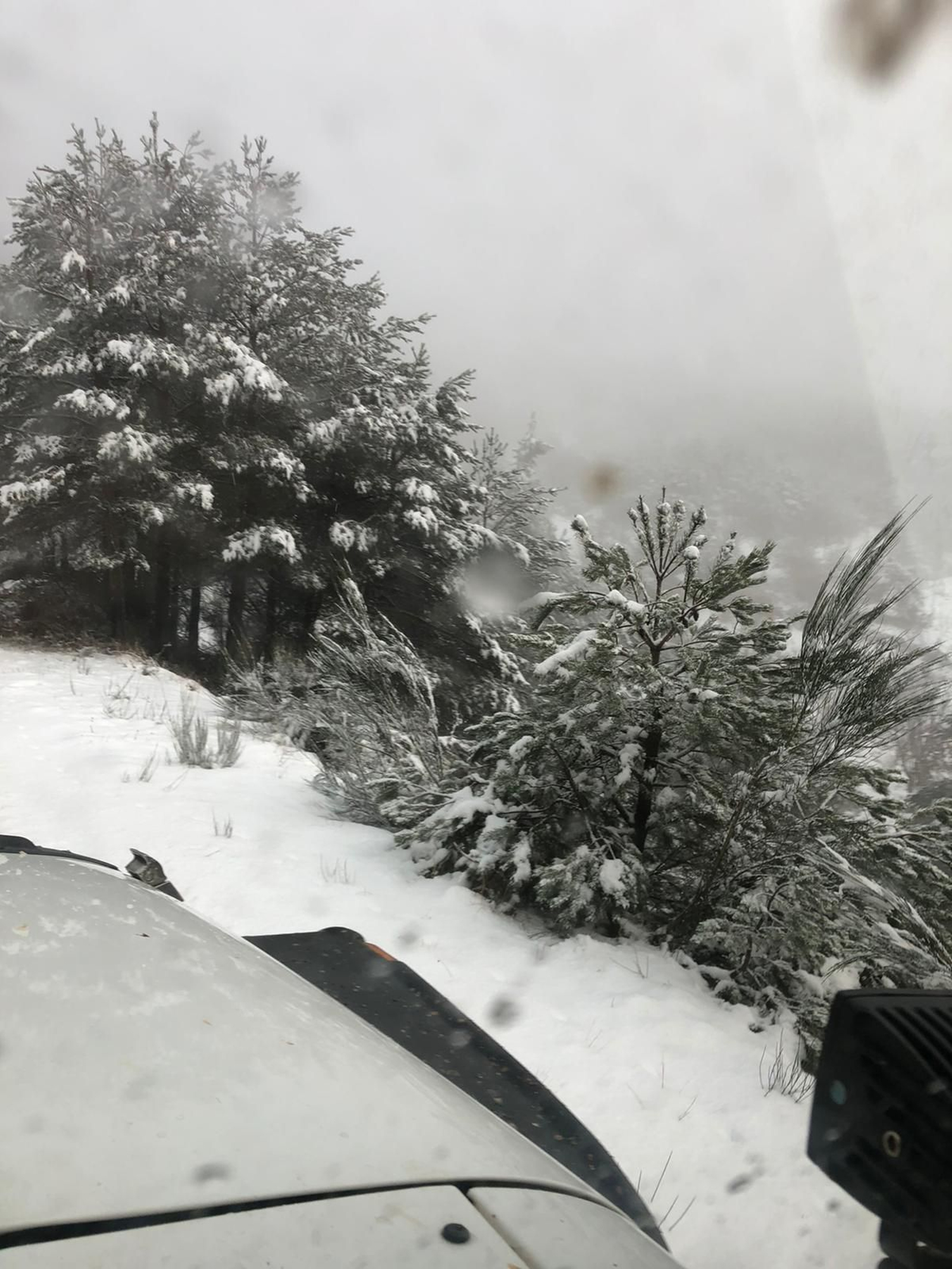 La nieve cubrió de blanco el Alto do Foxo