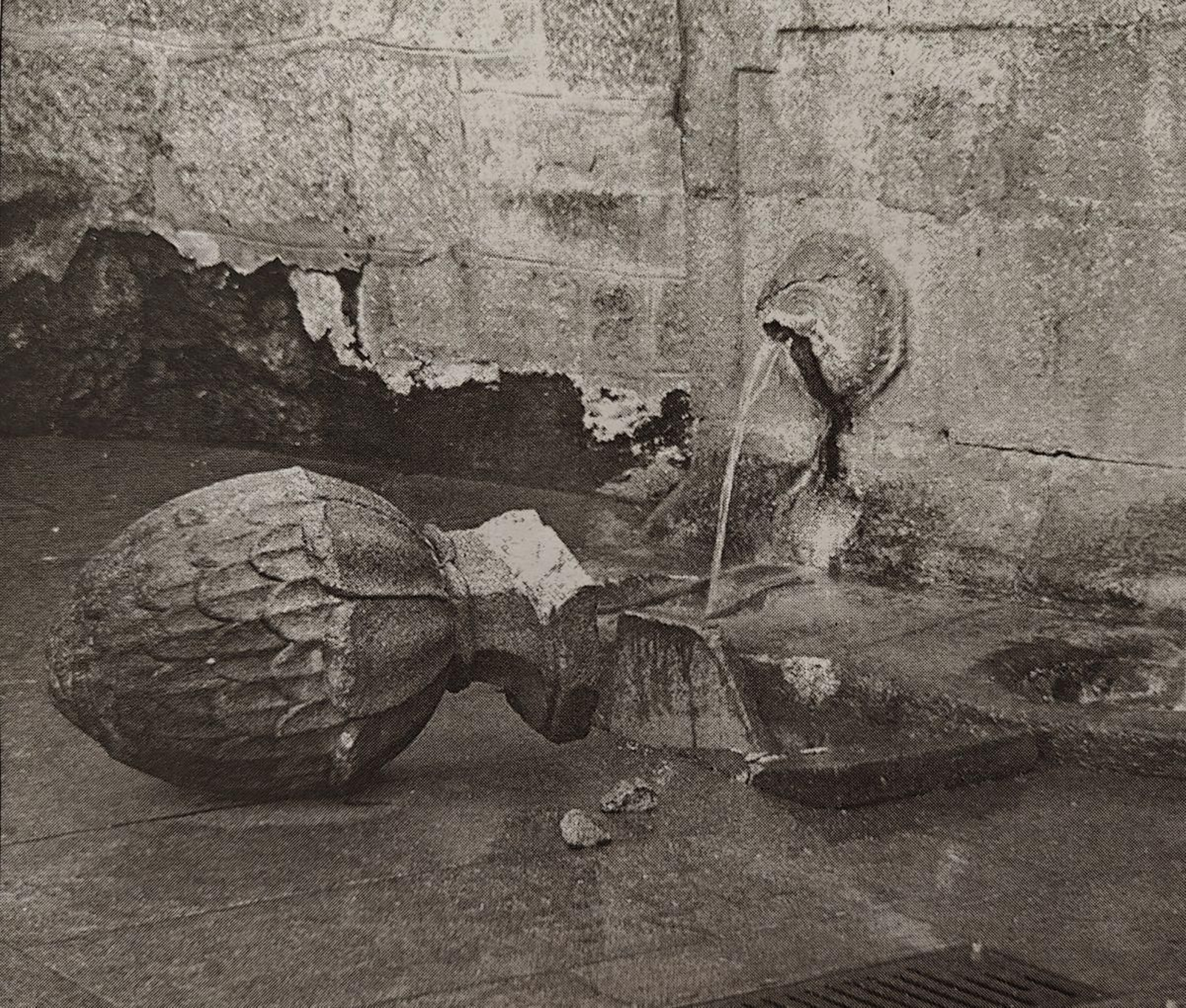 Elemento derribado en As Burgas.