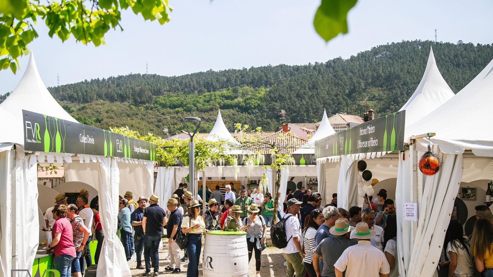 Feira do Viño do Ribeiro