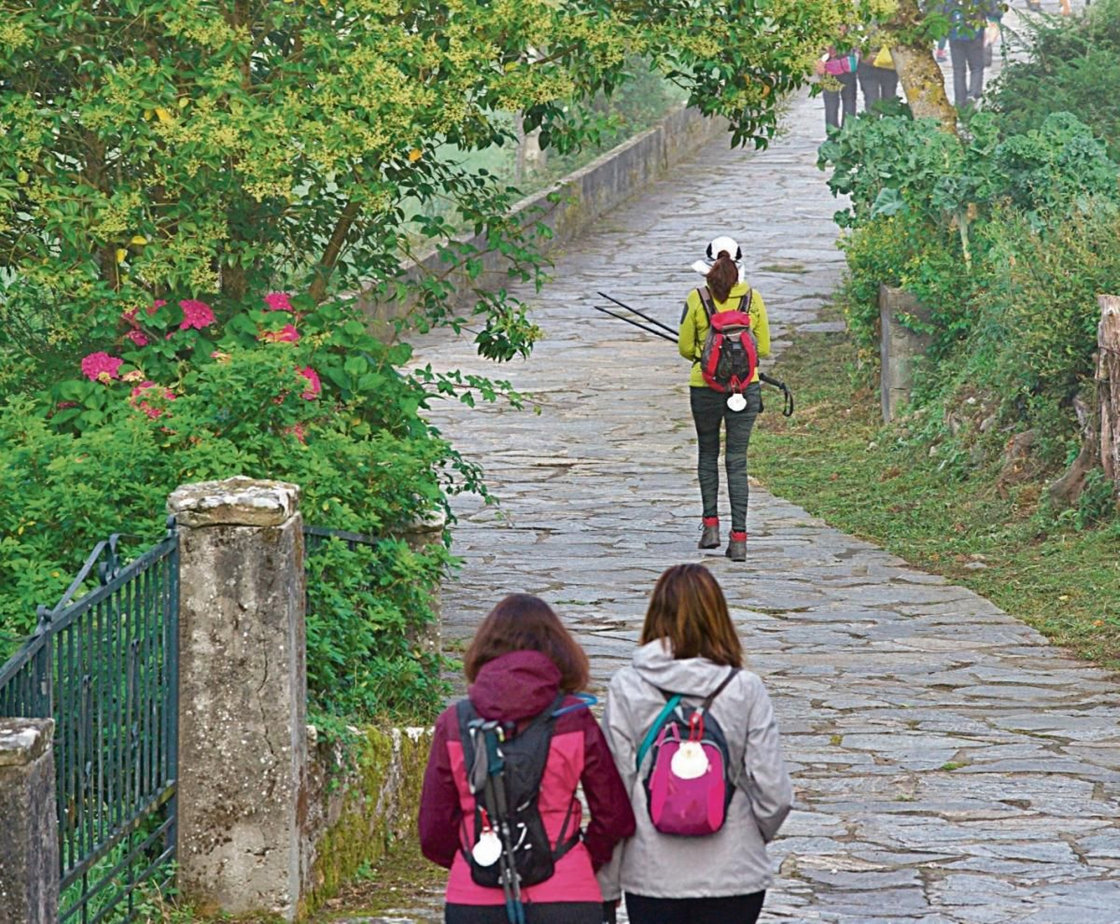 Peregrinas en el Camino de Santiago.