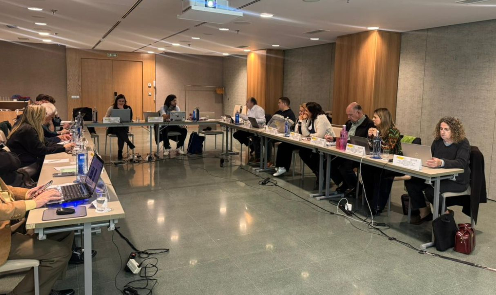 Reunión de la Comisión de Derechos Civiles y Participación