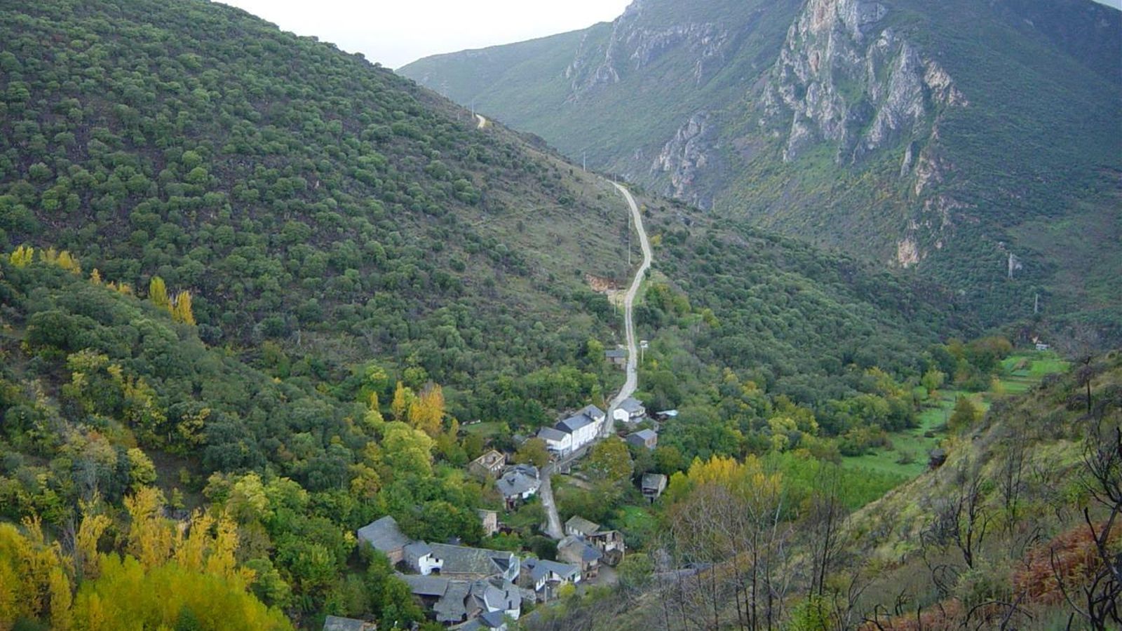 Pardollán