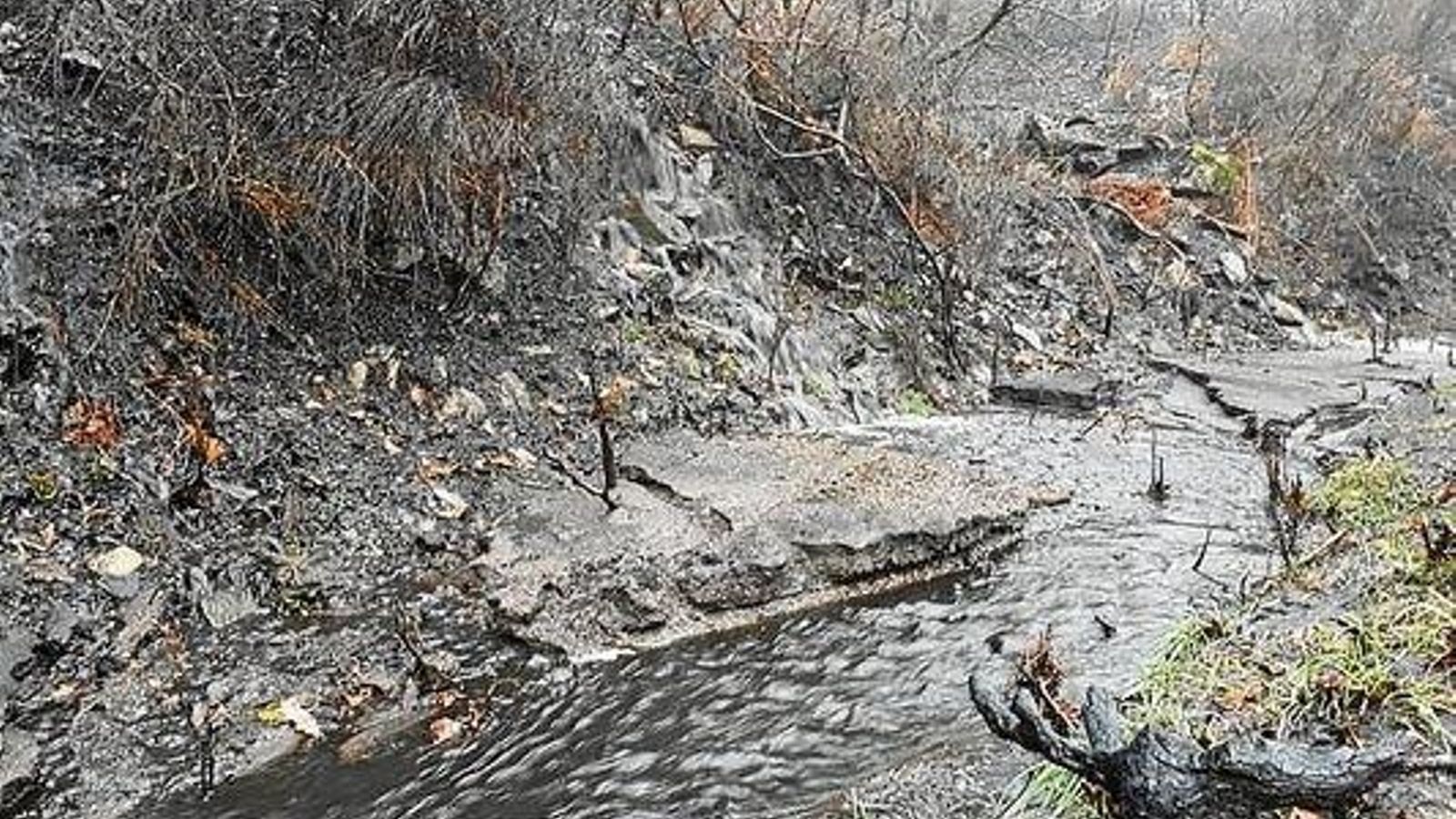 20190608152050894_result