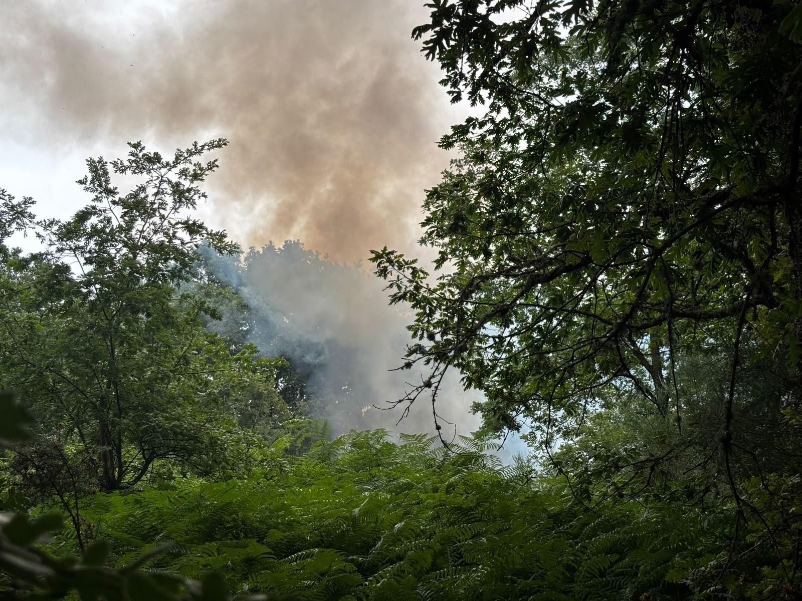 El humo procedente del incendio forestal en Sarreaus.