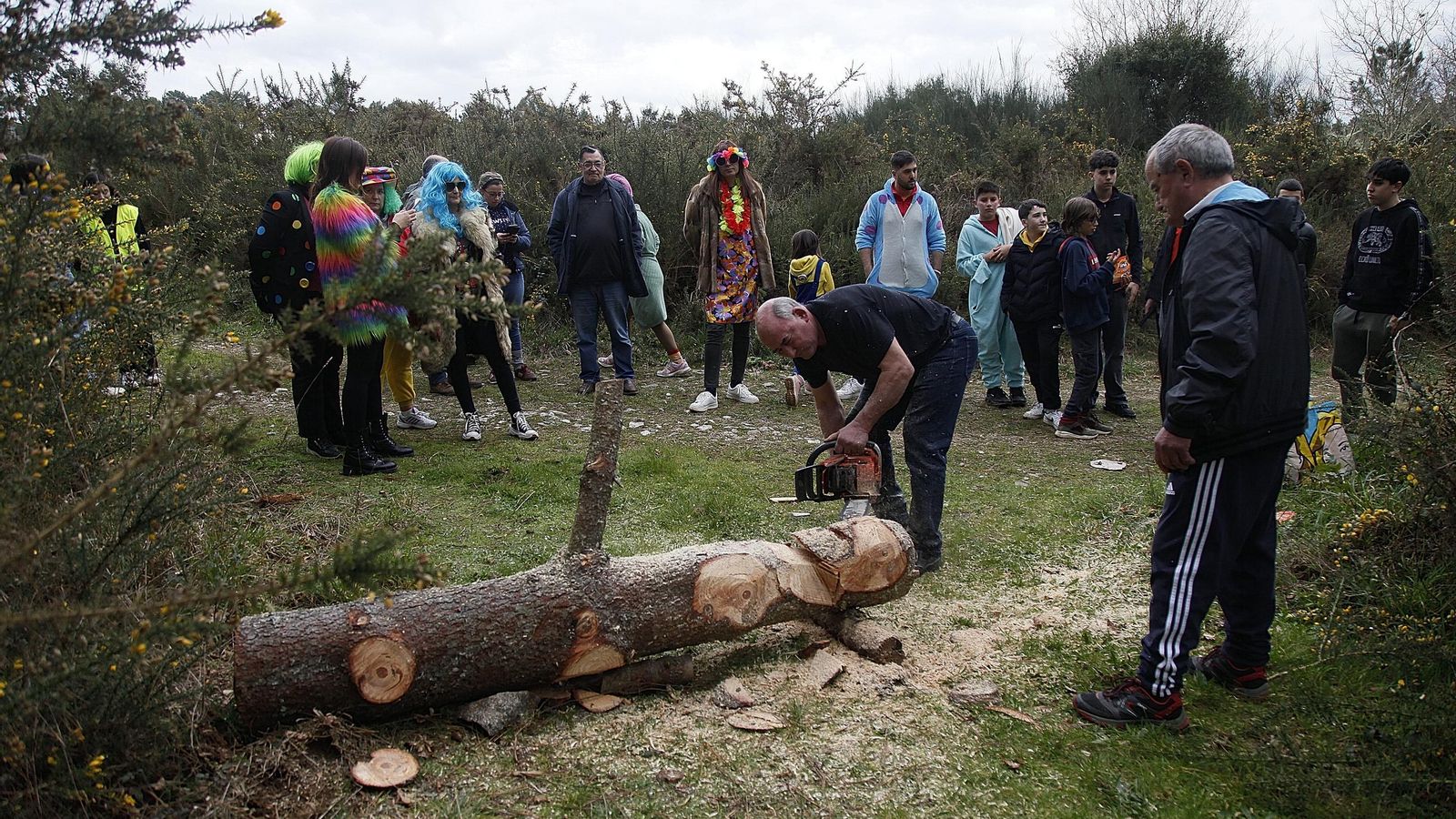 Galería | As Teixugueiras ya tienen a su meco de este Entroido