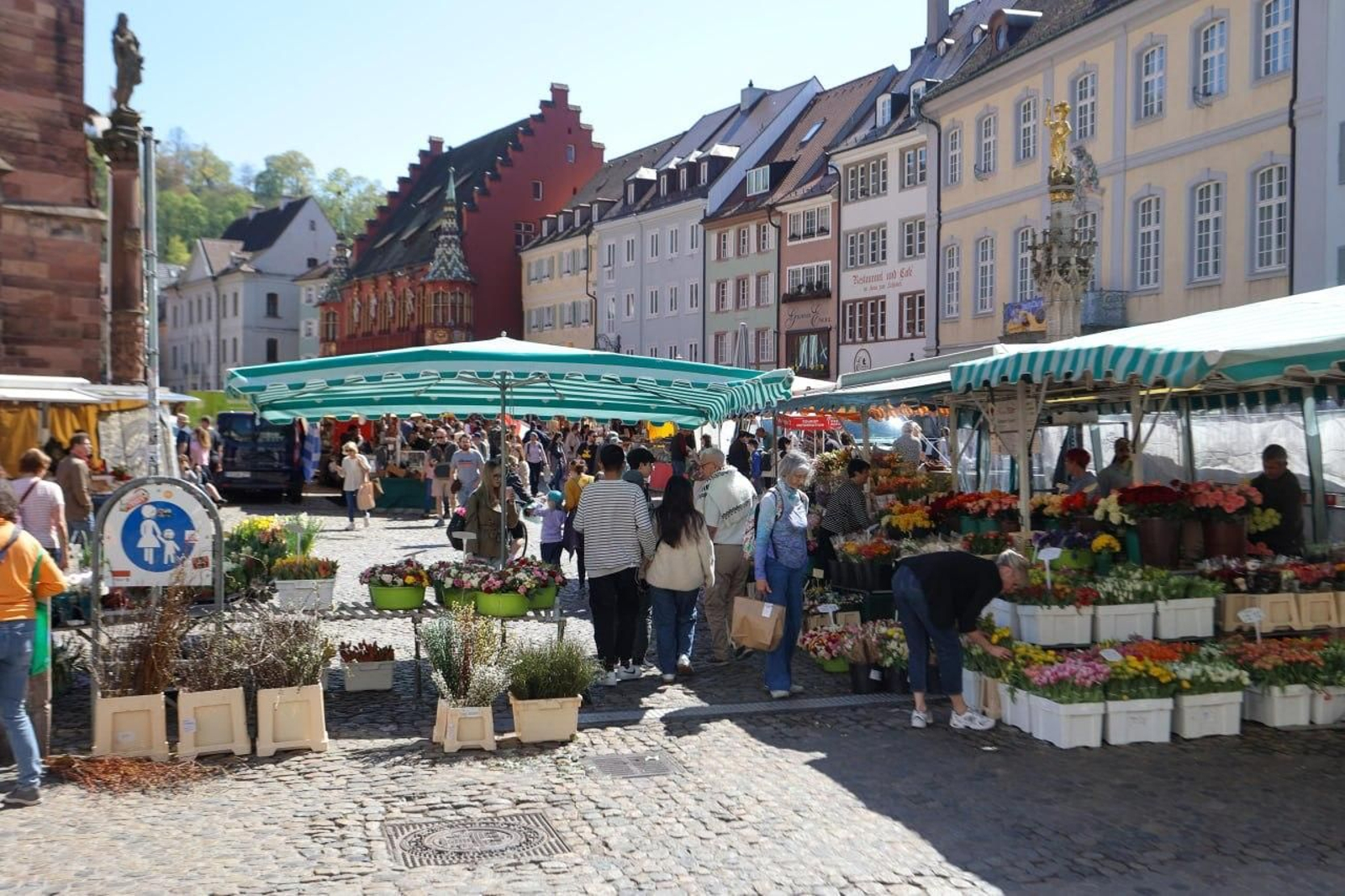 Galería | El Celta vive una intensa jornada en Friburgo antes del encuentro europeo