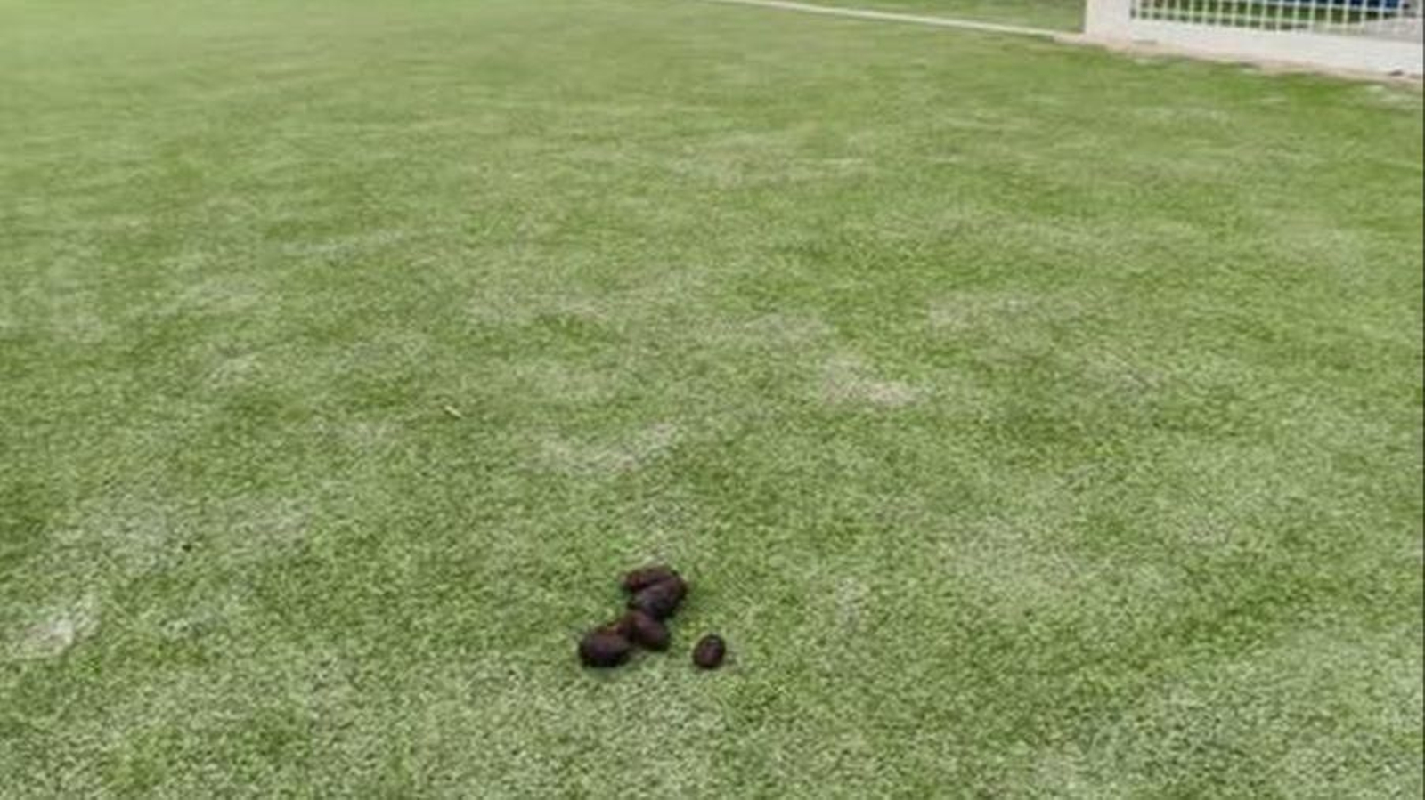 Los excrementos de perro en el campo de fútbol infanntil de A Milagrosa.