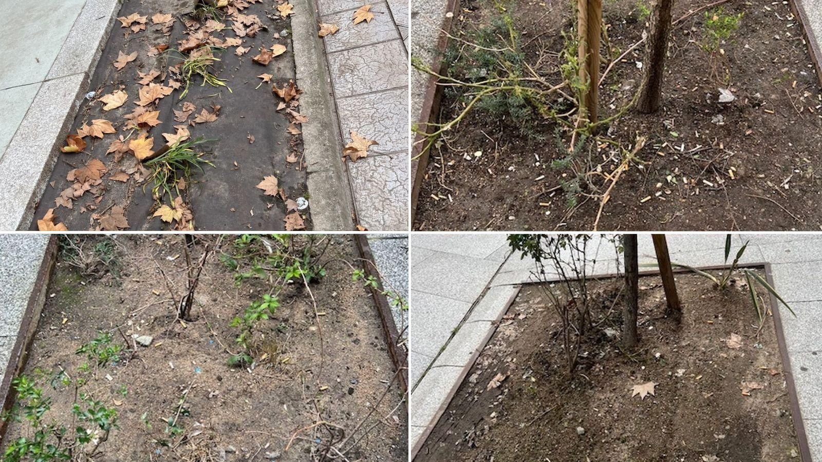 Jardineras abandonadas