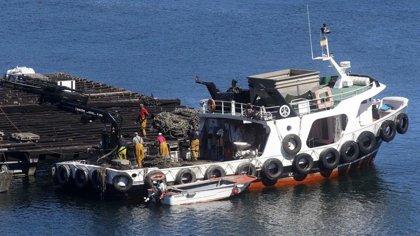 Trabajando, ayer en una batea.