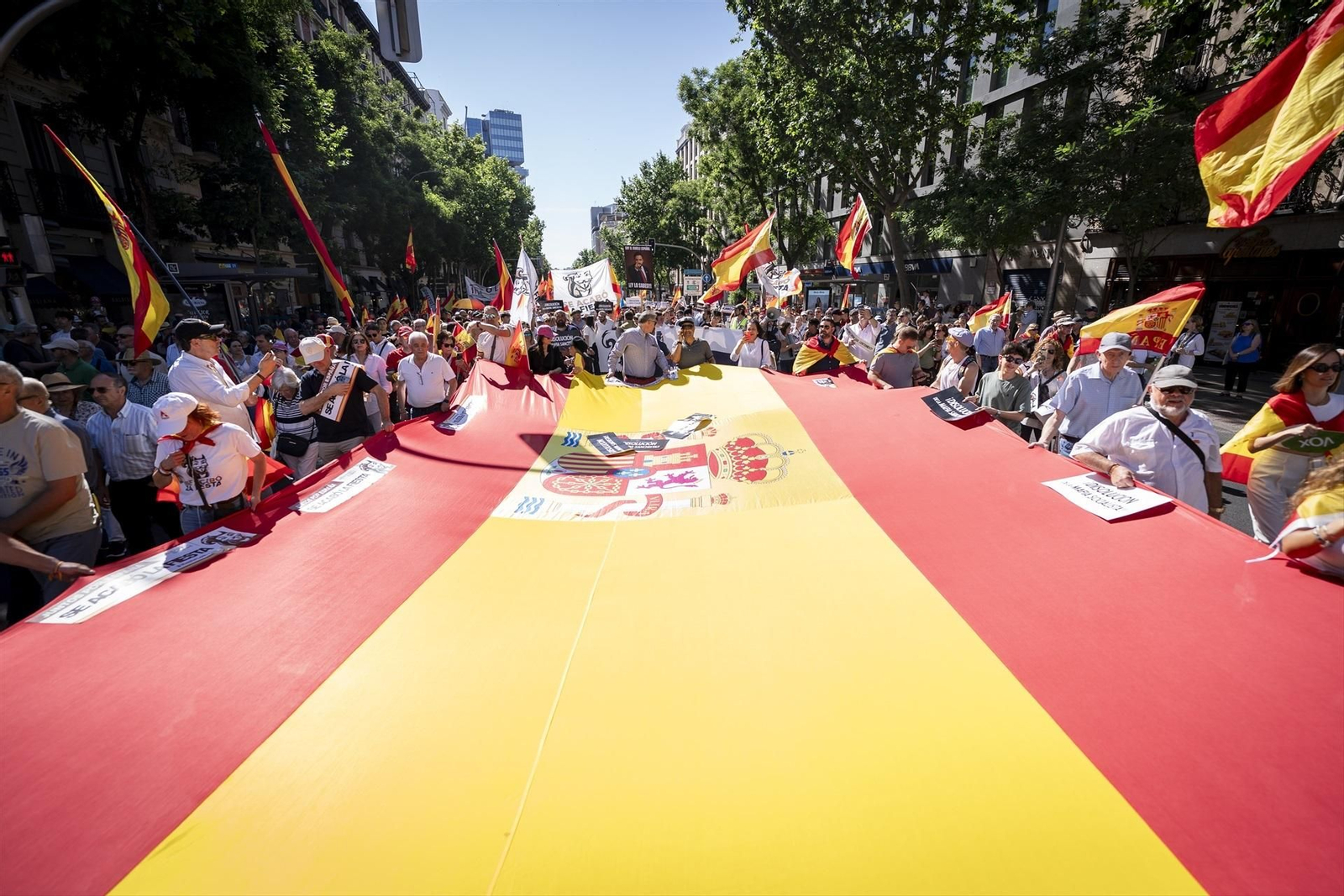 Manifestación en Madrid