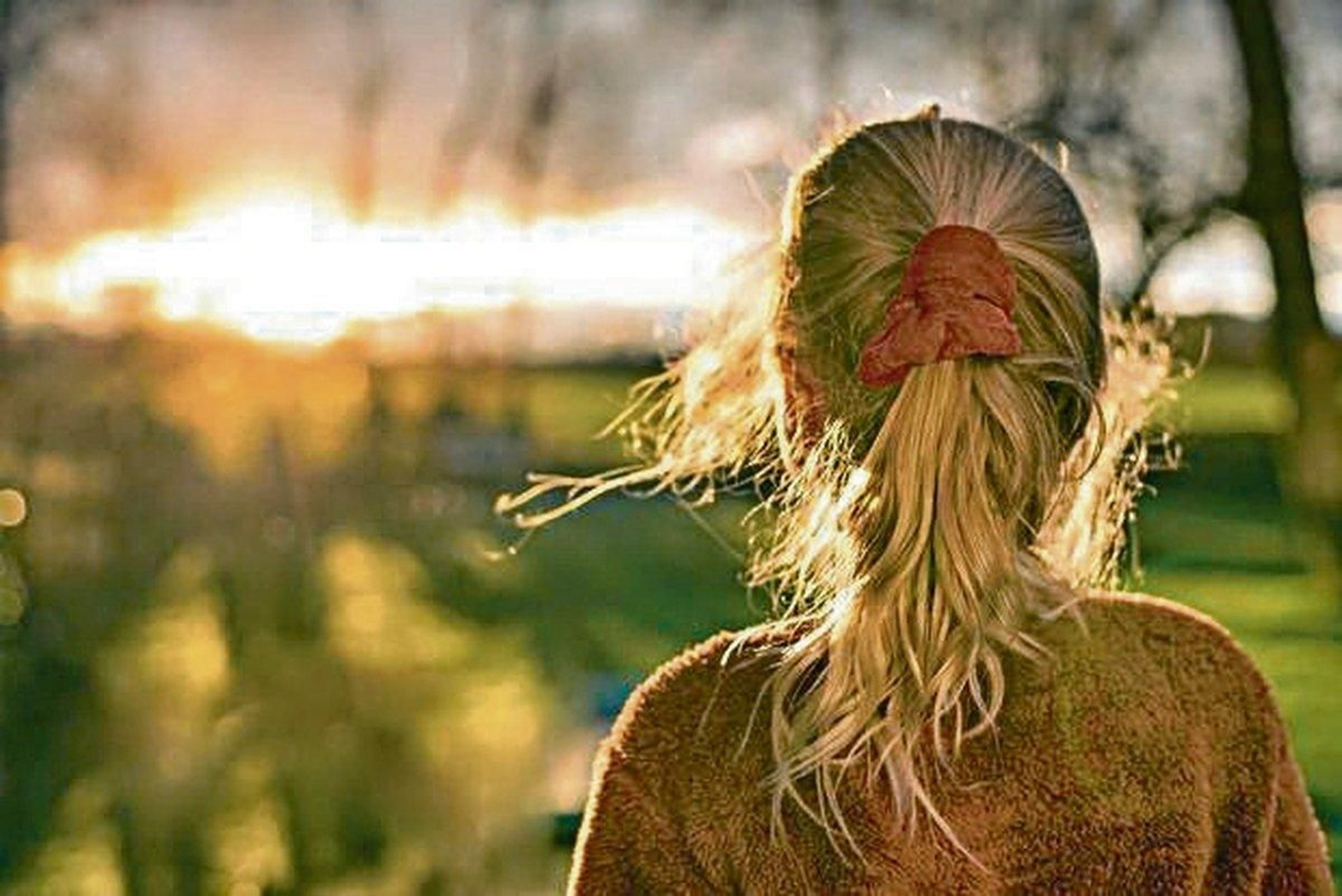 xornalescolar_1001_piojos_01