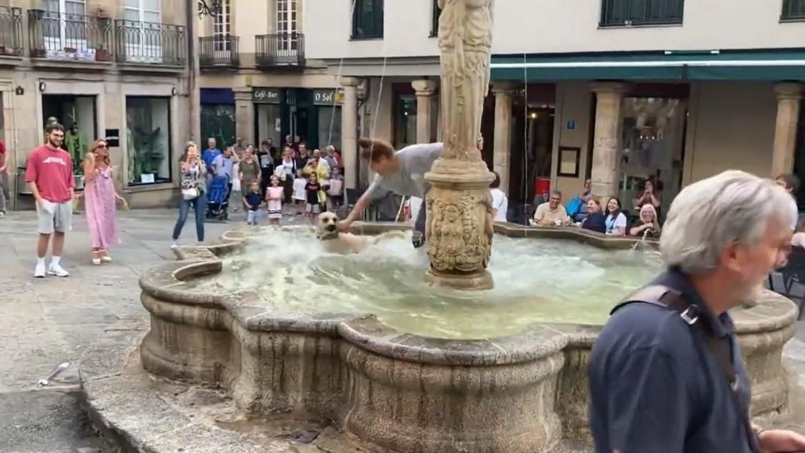 El perro dándose un baño en la fuente de la Praza do Ferro.