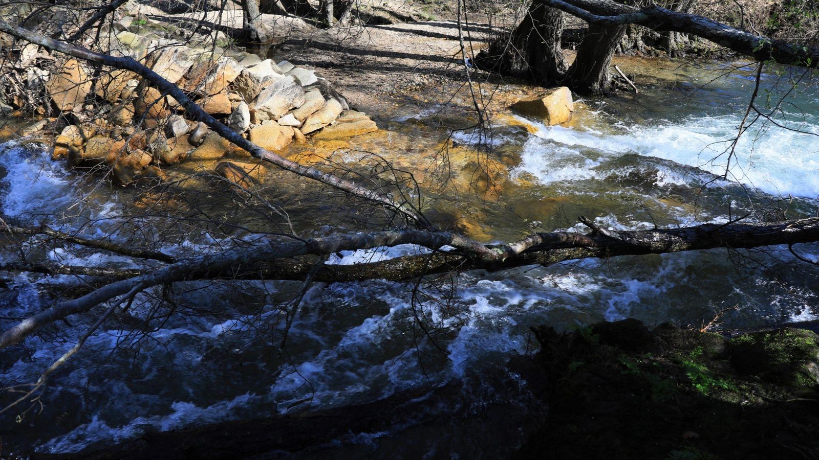 Troncos arrastrados que permanecen atascados entre la presa y el cauce.