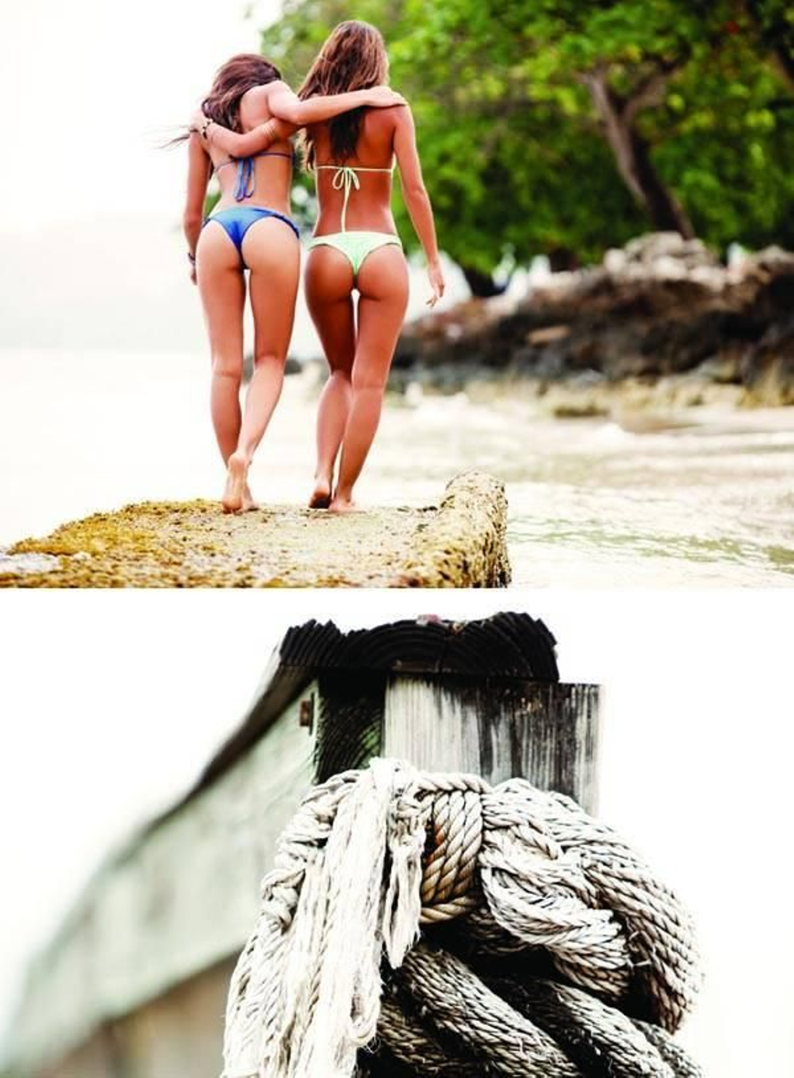 Calendario Reef 2012