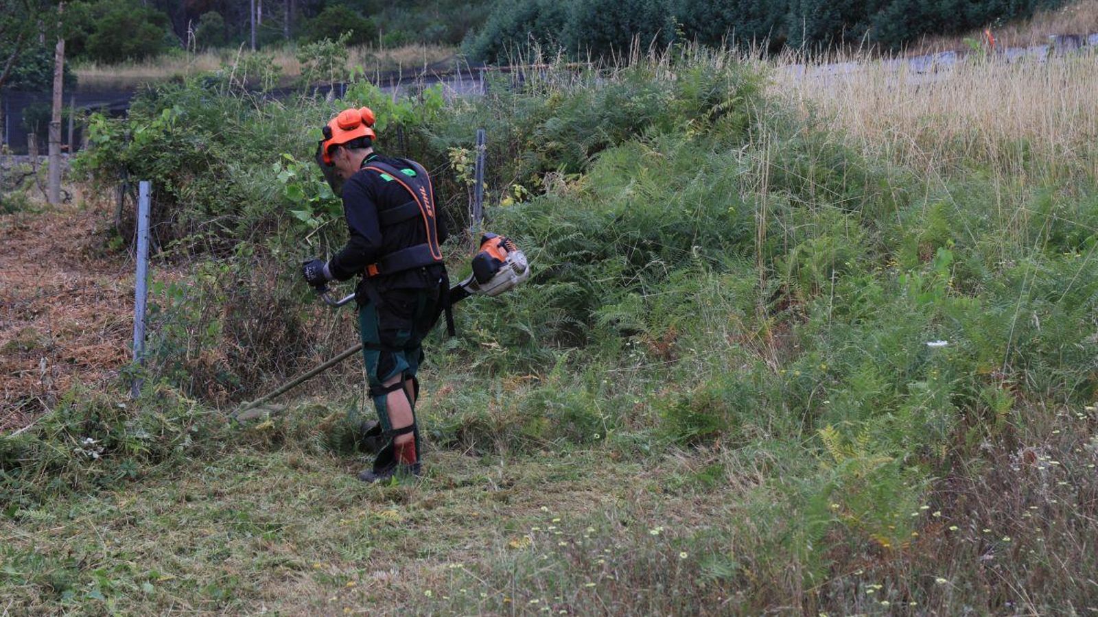 Uno de los efectivos de Barbadás desbroza un terreno.