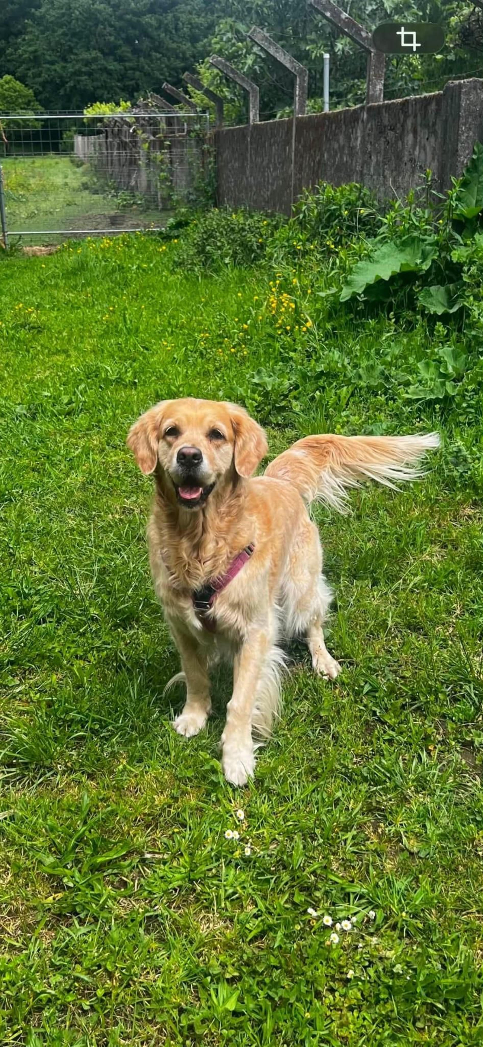 Hera