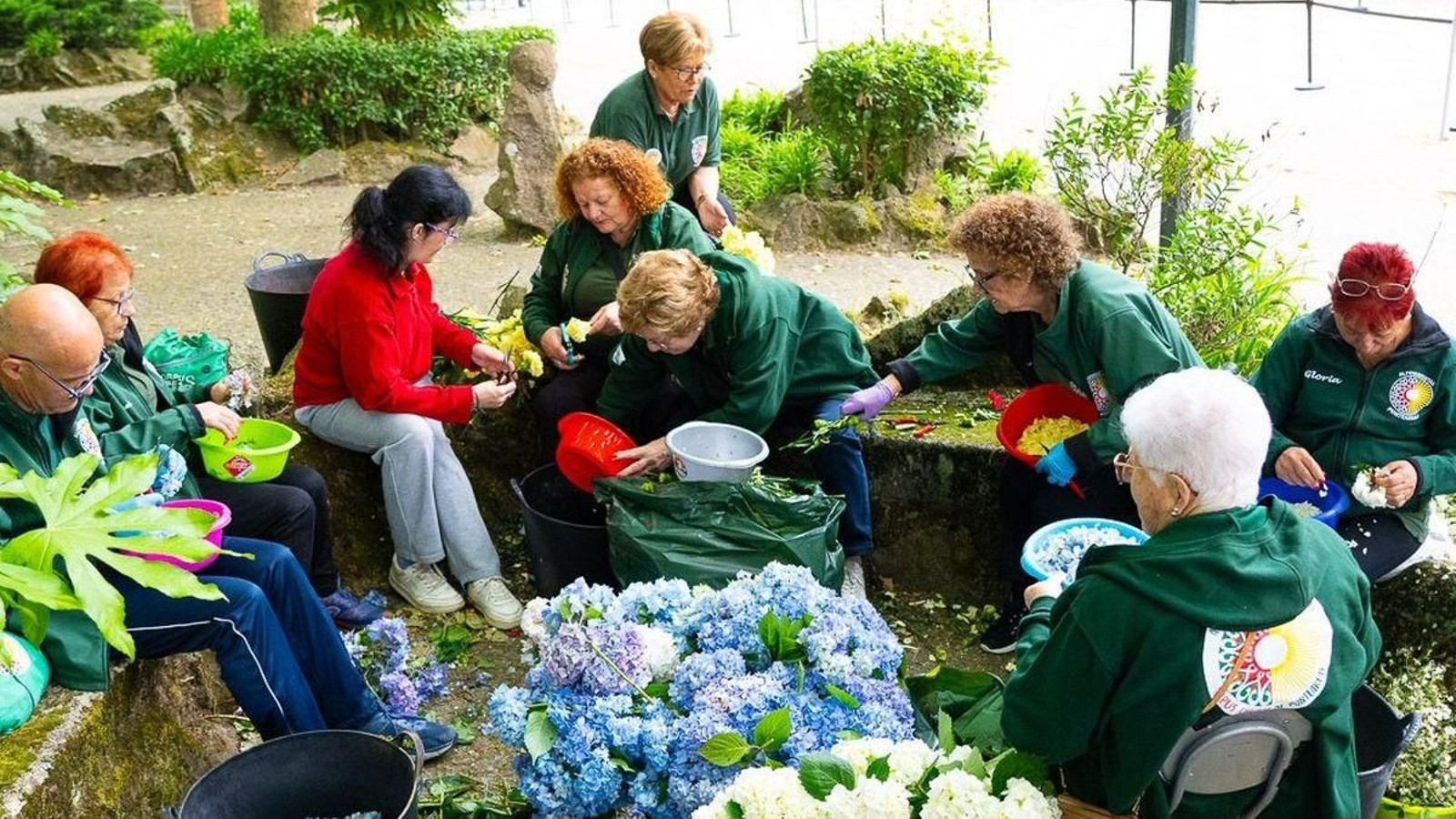 Alfombristas do Corpus de Ponteareas, deshojando flores para una alfombra en Matosinhos.
