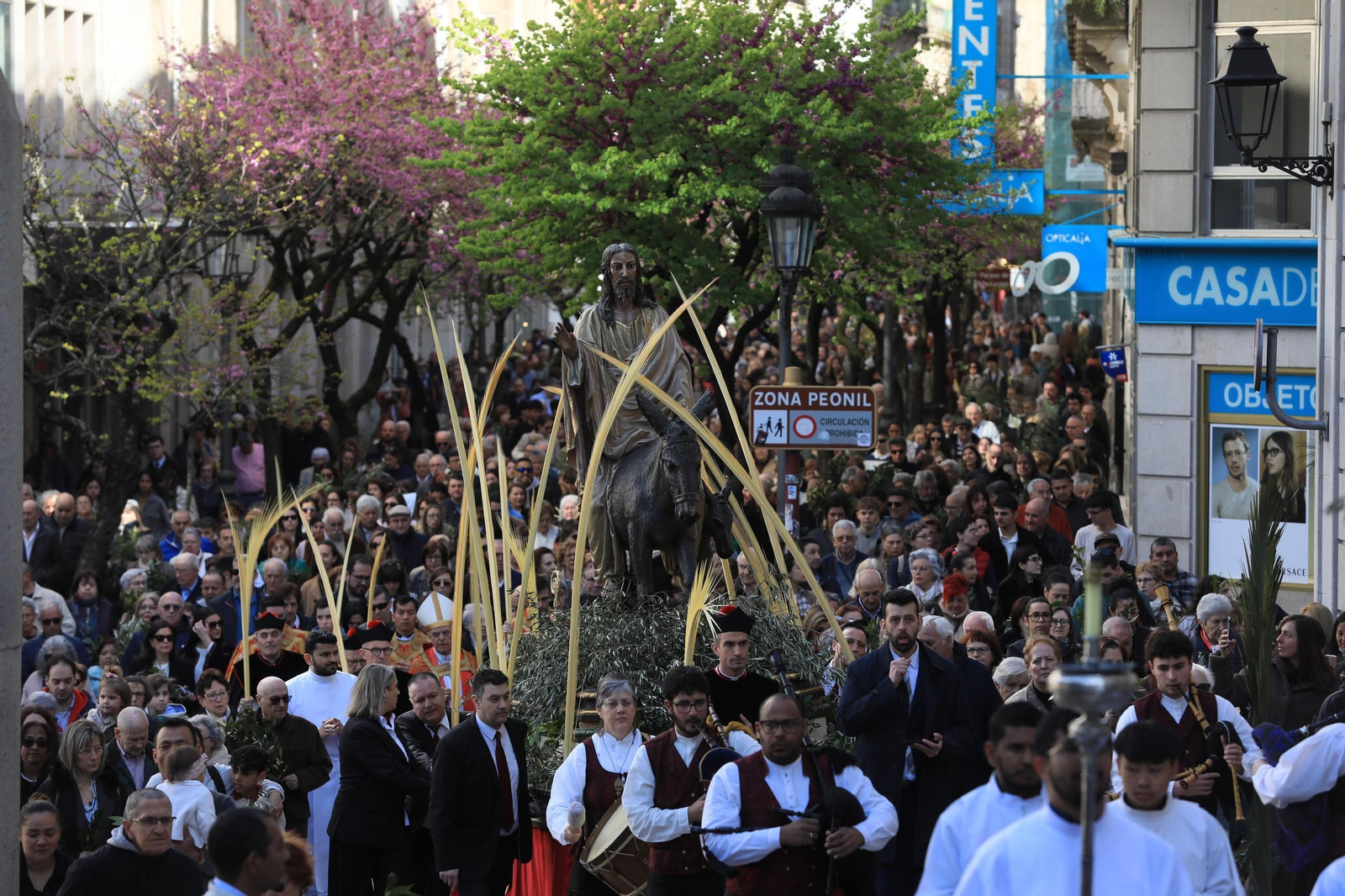 Galería | La procesión de la Borriquita marca el Domingo de Ramos en Ourense