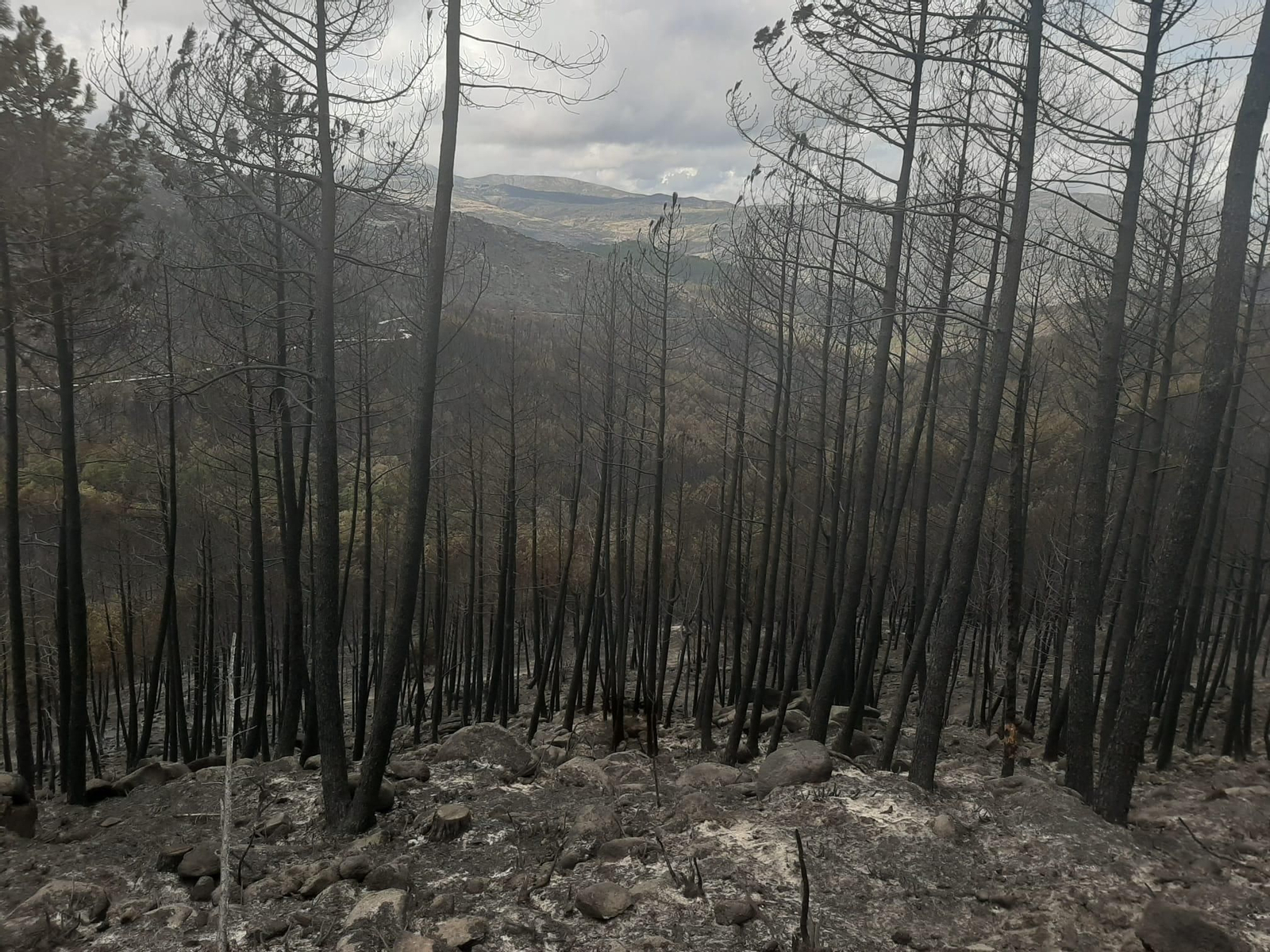 Incendio en Río Caldo, Lobios.