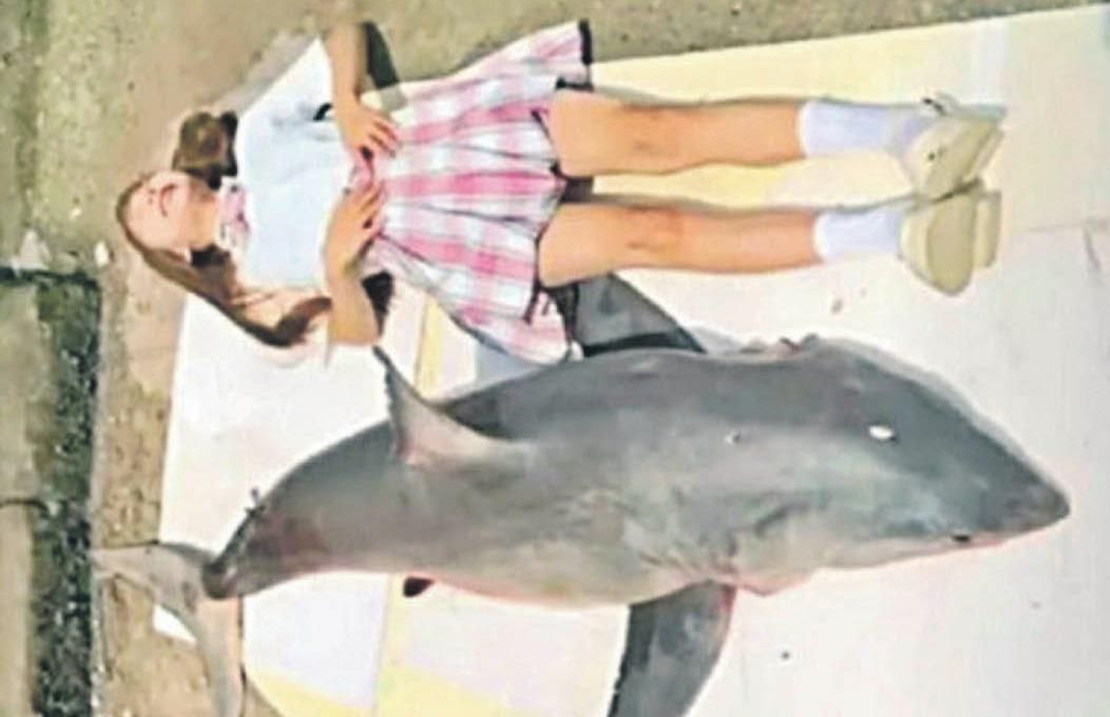 La bloguera con el tiburón.