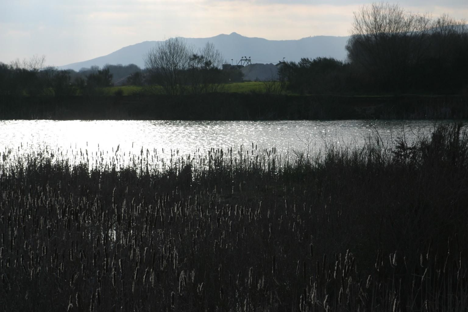 Lagoa de Antela // FOTO: JOSÉ PAZ