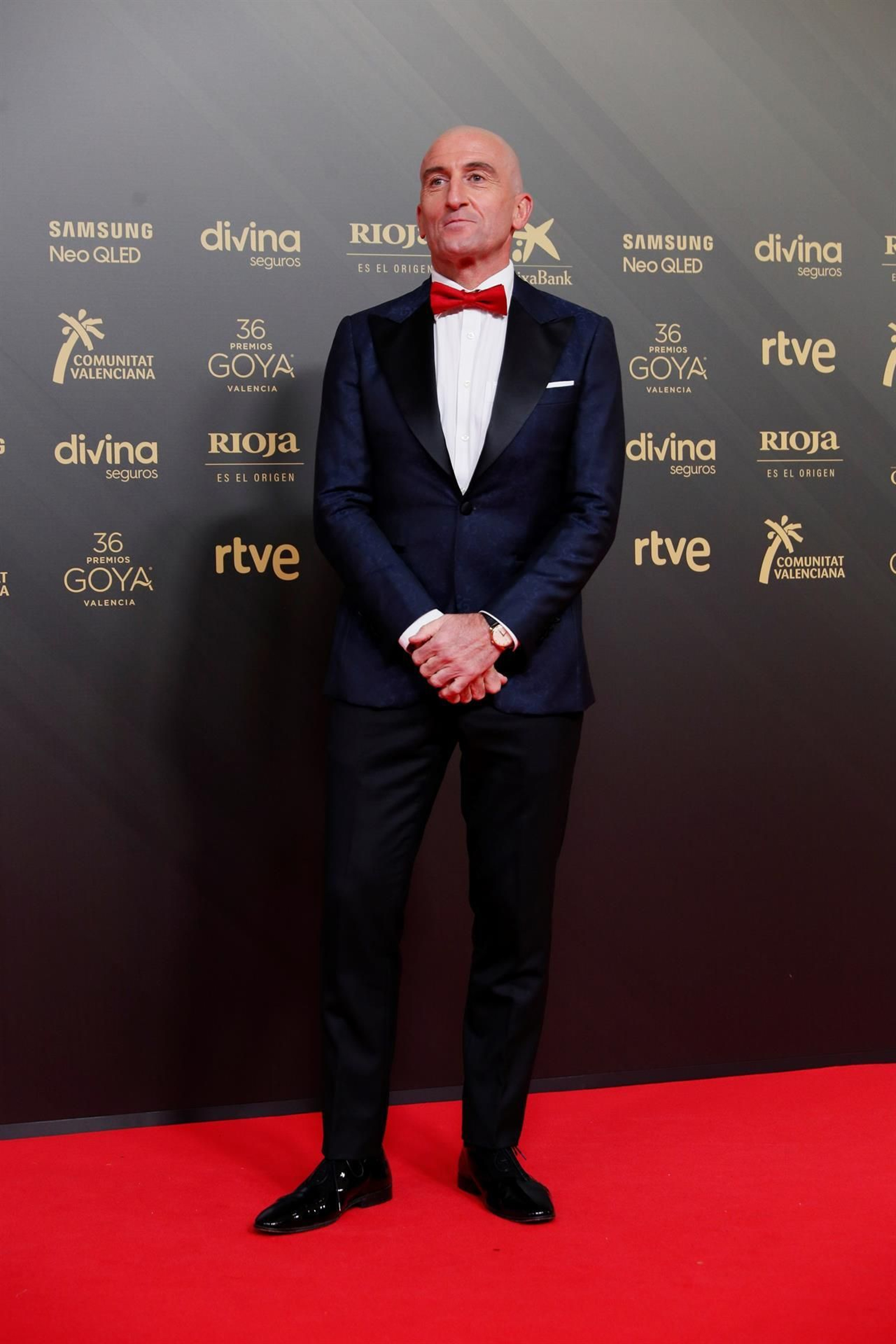 La alfombra roja de la 36ª edición de los Premios Goya. // EFE