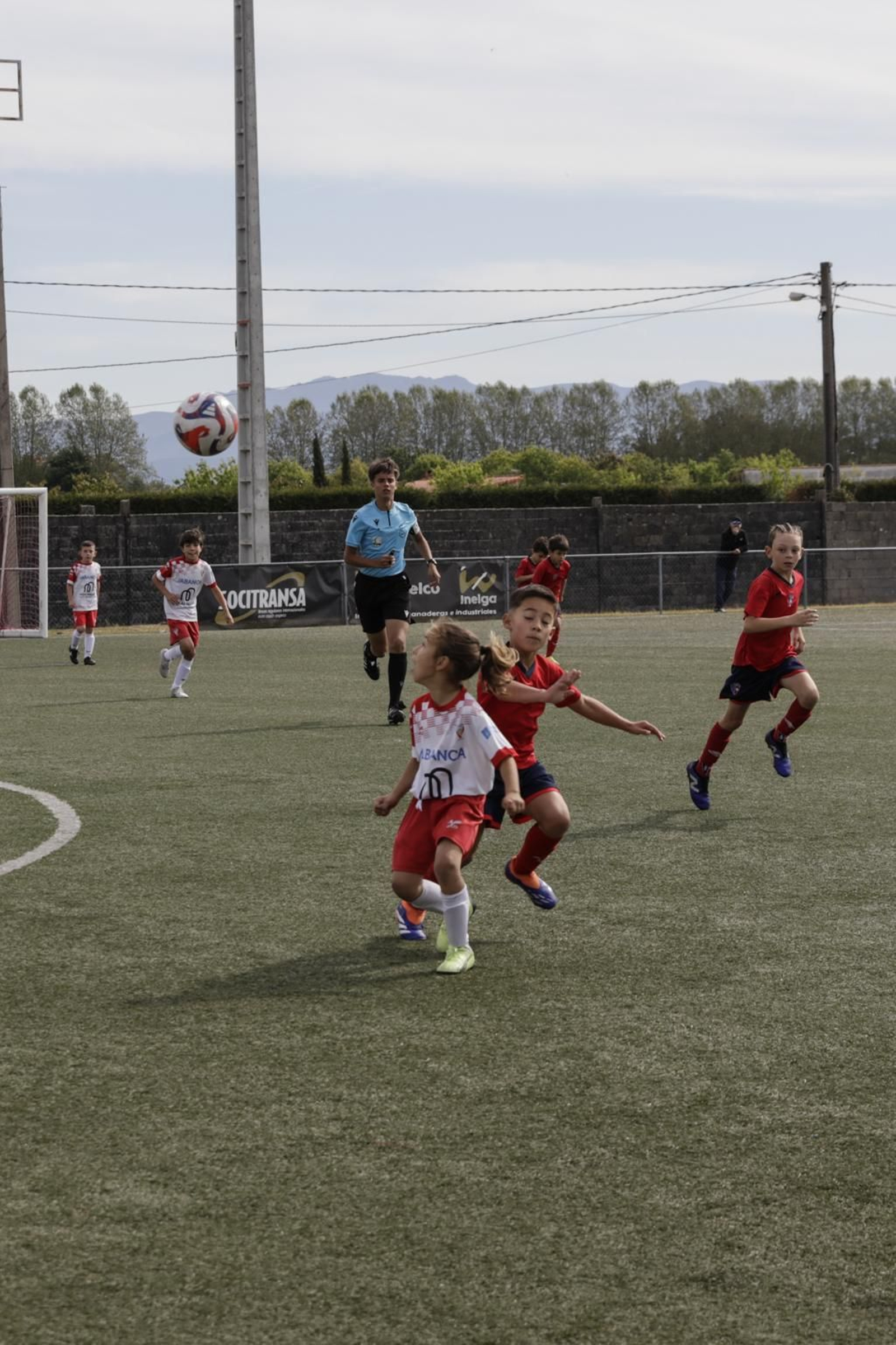 Galería | La fase intermedia del Campeonato Gallego de Fútbol 8 aterriza en Xinzo de Limia