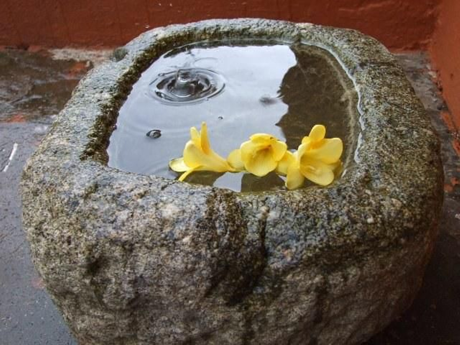 Avelino Beiro Garcia