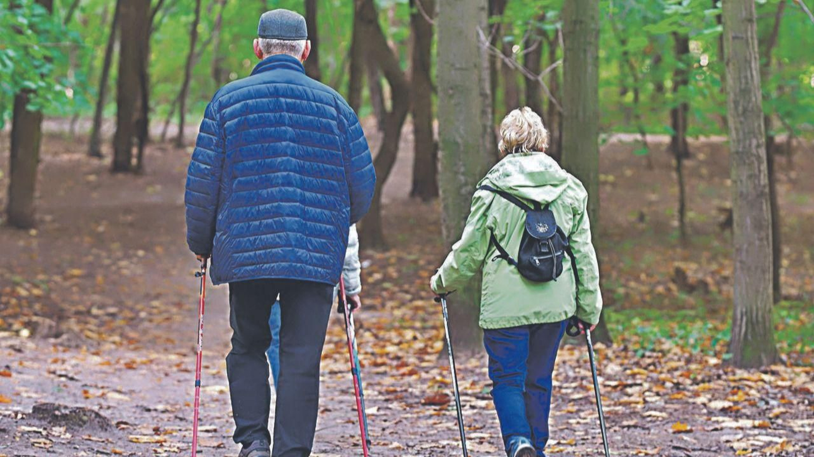 Una pareja pasea por el bosque.