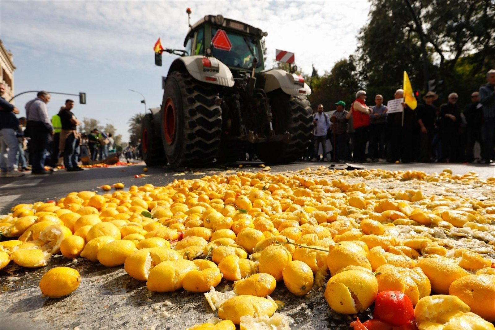 Los agricultores lanzan limones como acto de protesta por las condiciones de la gestión de sector de la ganadería y agricultura, (EP).