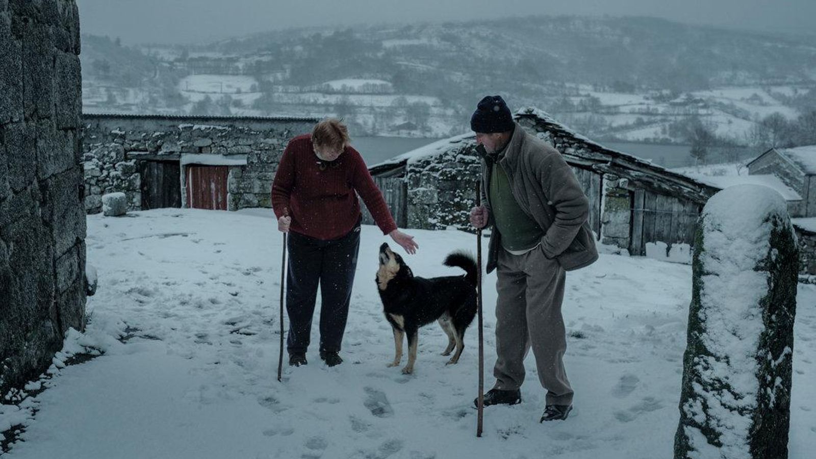 "Está todo despoblado. La gente joven marchó a Barcelona o Madrid. Estamos toda la semana cuatro personas solas. Este mes nos quedamos sin supermercado y sin panadero". Gerarda Méndez, 87, y Laurentino Álvarez, 93, vecinos del pueblo de A Espasa, Chandrexa de Queixa (Ourense), junto a Lucero, el fiel perro de Laurentino. Gerarda falleció pocos años después de tomar esta fotografía. Laurentino y Lucero siguen vivos. Este municipio ourensano tiene una densidad de población de 2.8 habitantes por kilómetro cuadrado, una de las más bajas de Galicia.