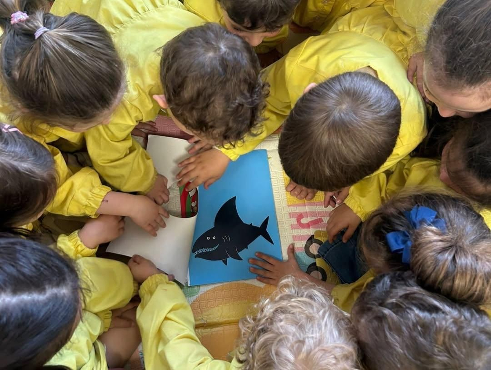 O Día do Libro no colexio Luis Vives