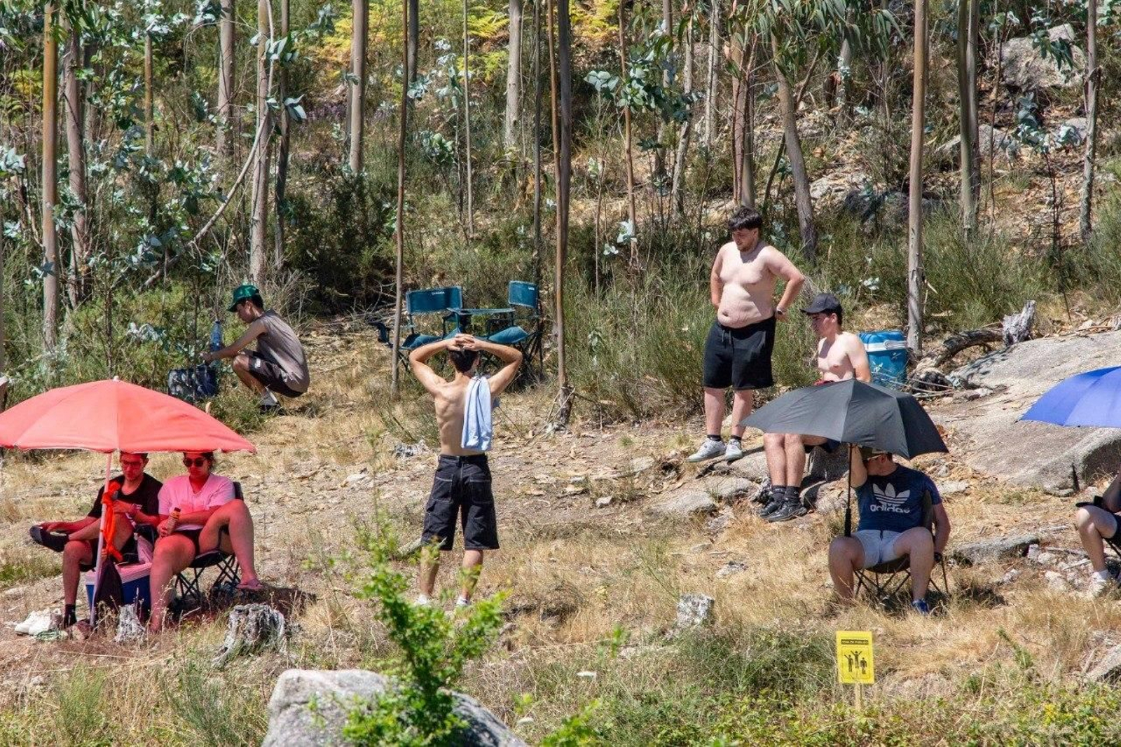 Galería | La jornada decisiva del Rally Rías Baixas