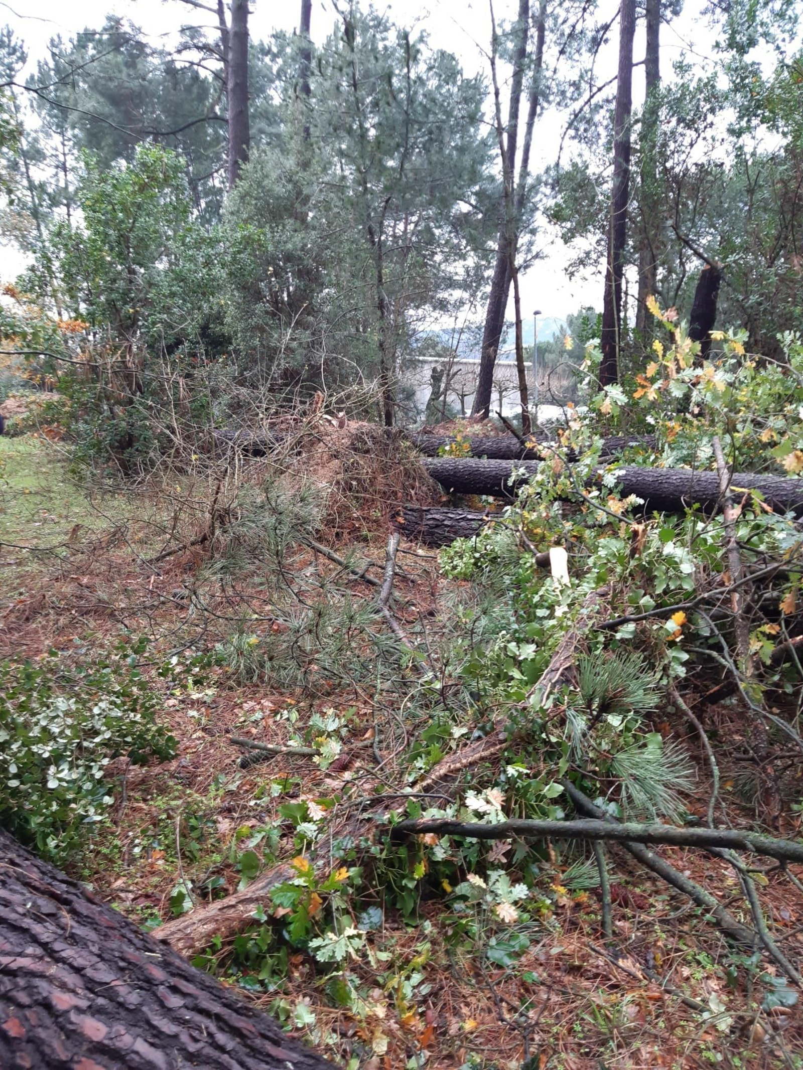Destrozos en la Universidad Laboral por el temporal